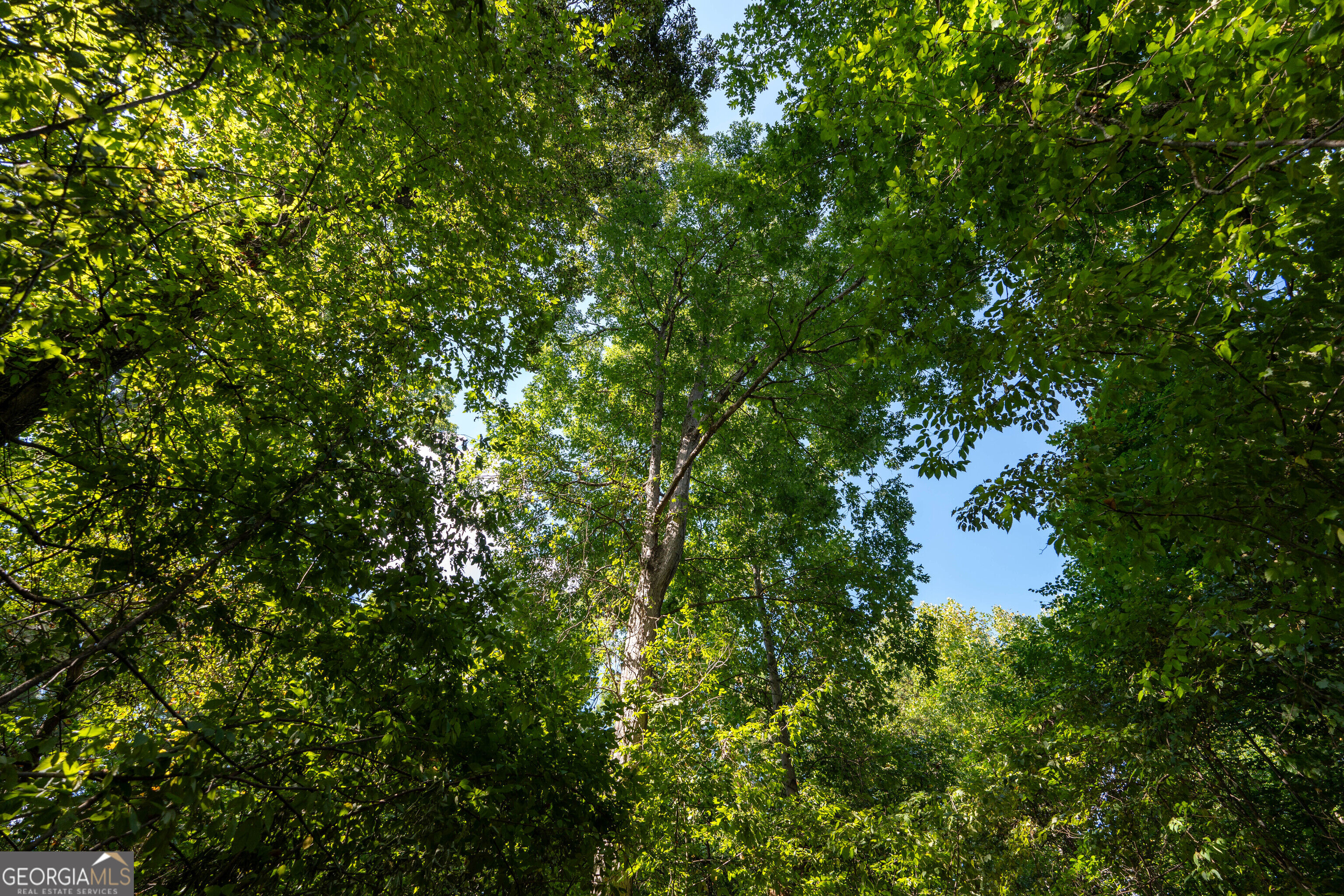 12 Bunch Road Property Photo 28