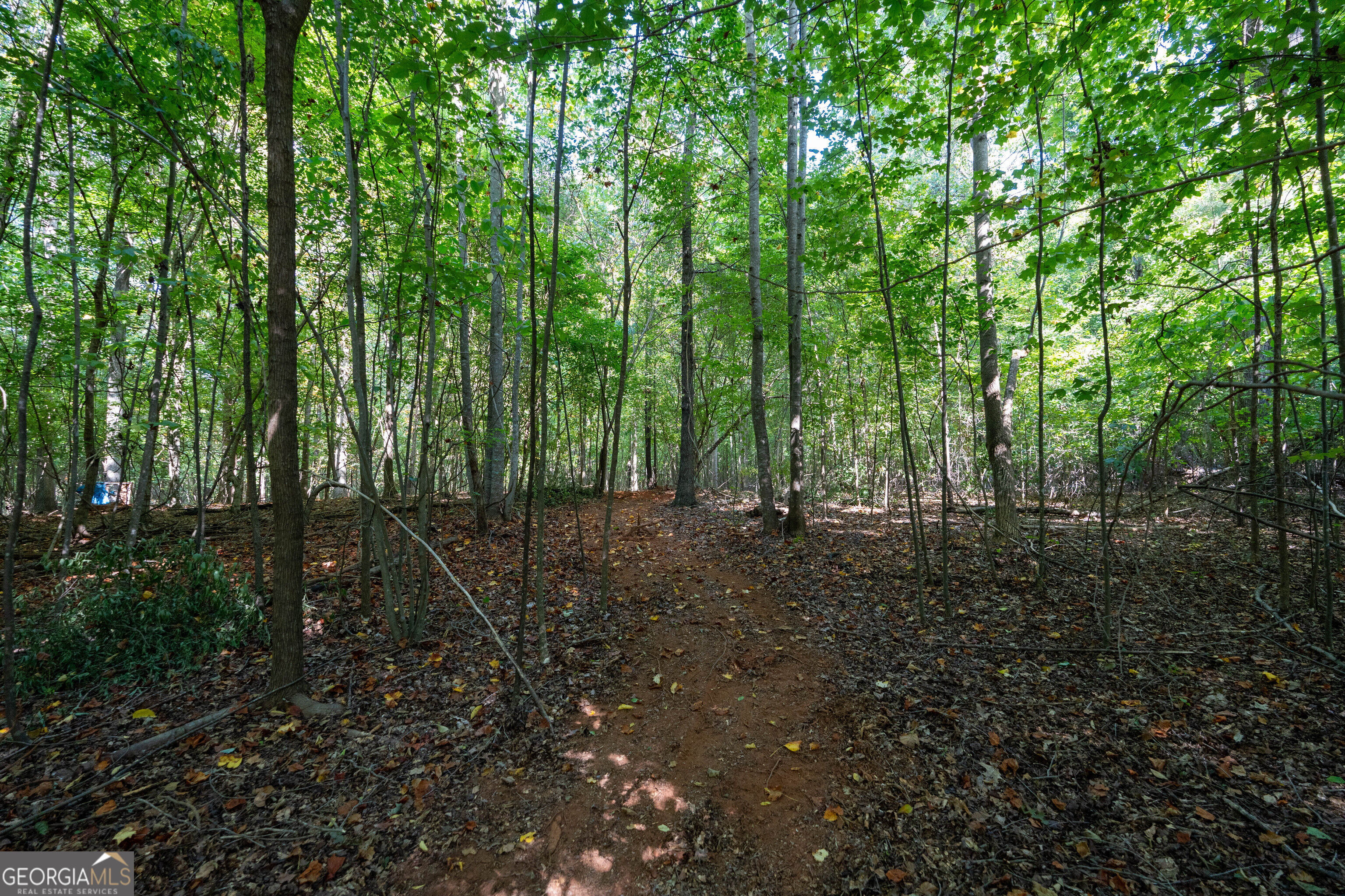 12 Bunch Road Property Photo 29
