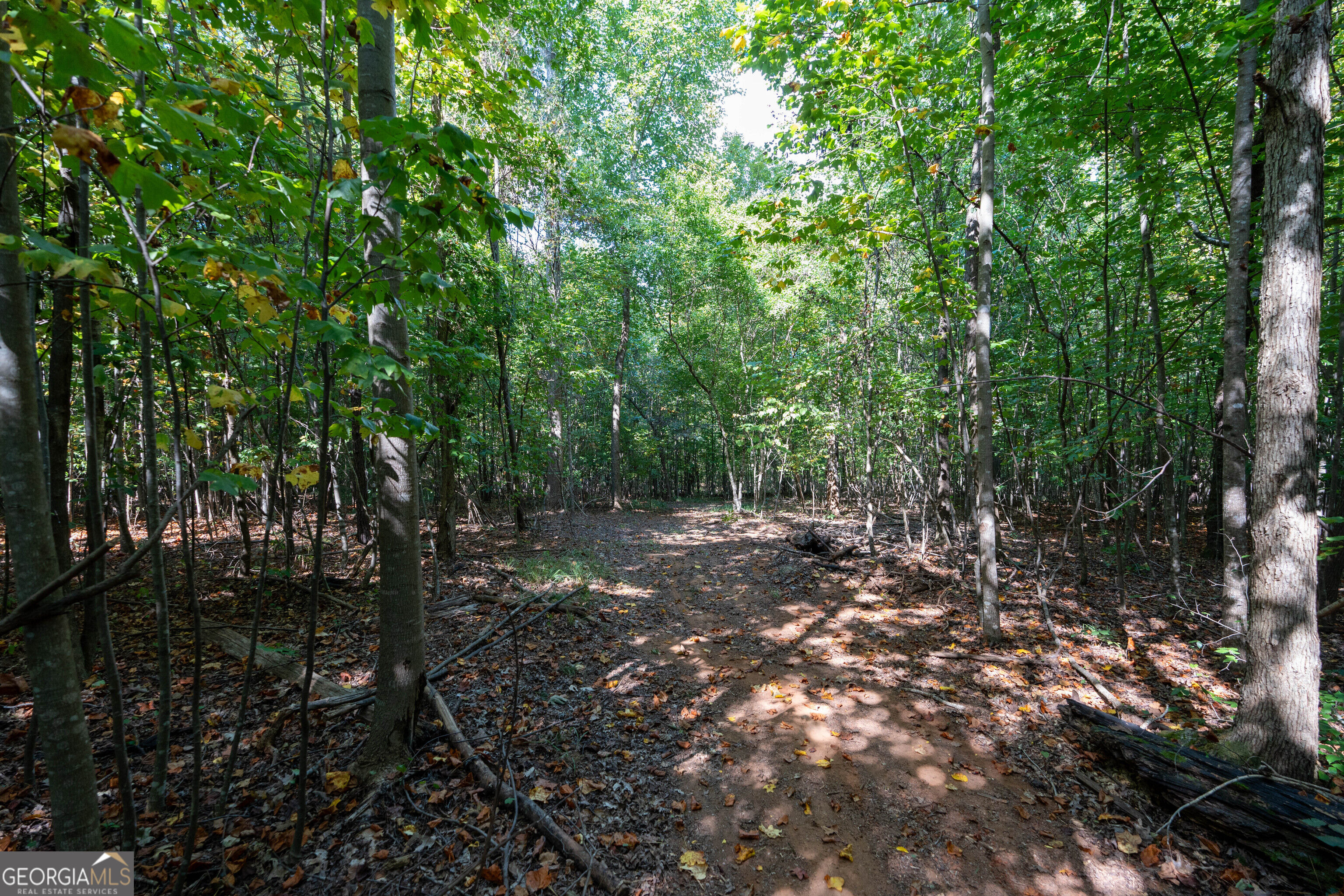 12 Bunch Road Property Photo 30
