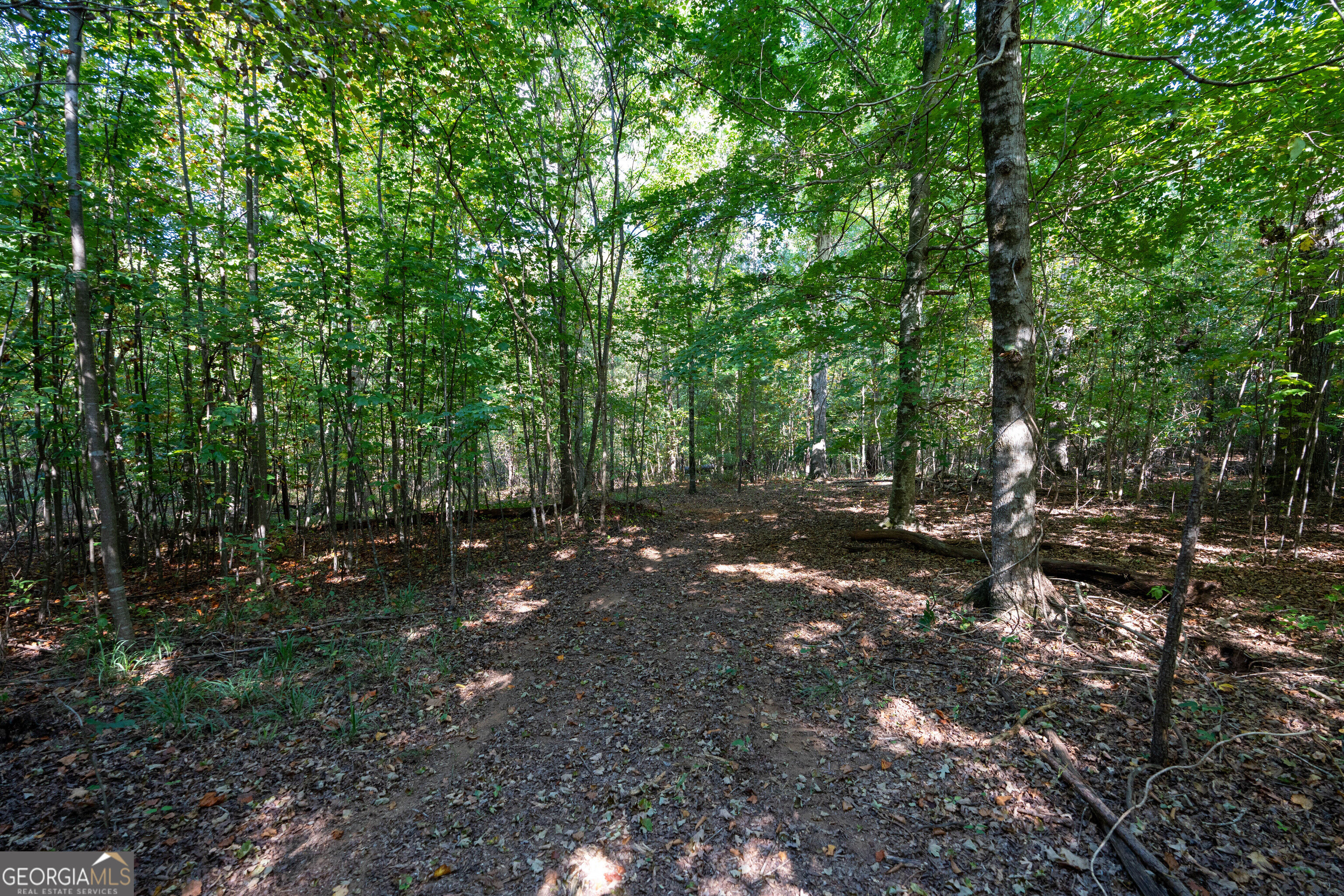 12 Bunch Road Property Photo 32
