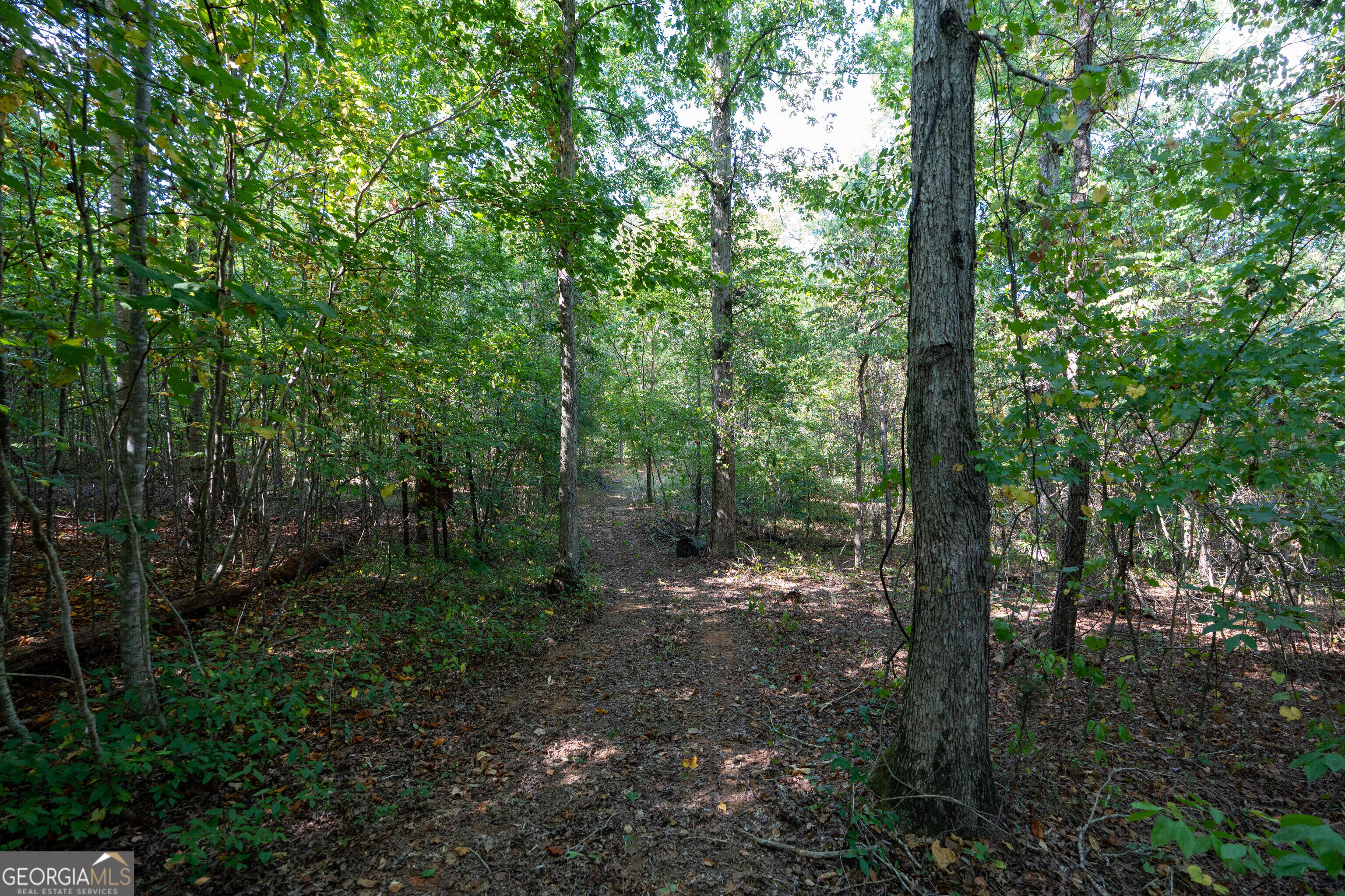 12 Bunch Road Property Photo 34