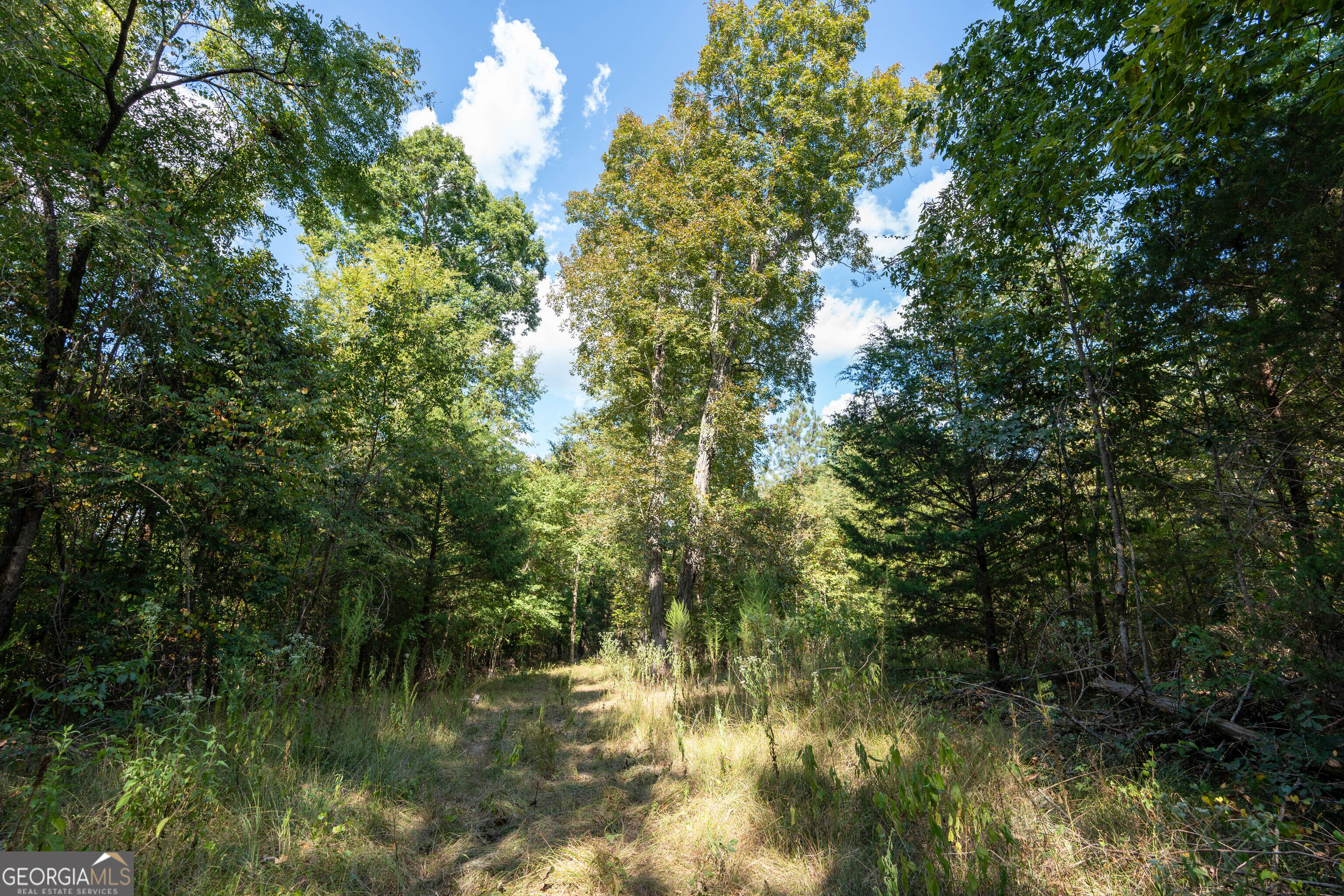 12 Bunch Road Property Photo 35