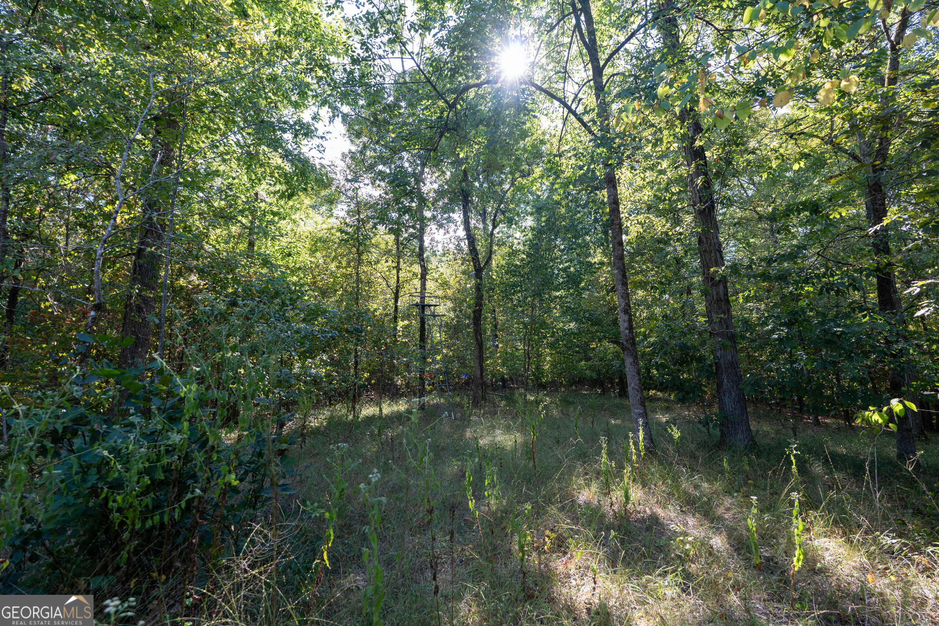 12 Bunch Road Property Photo 37