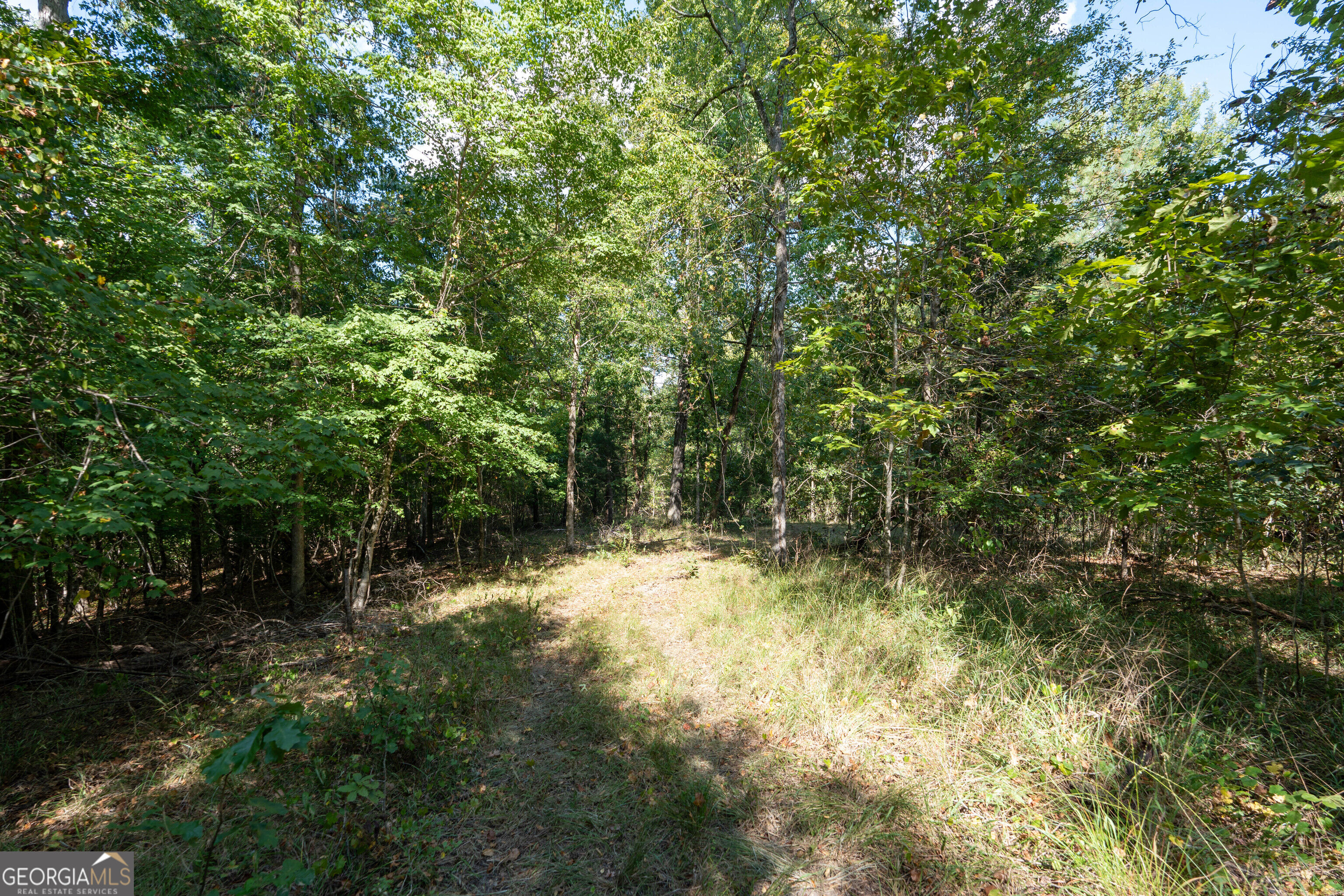 12 Bunch Road Property Photo 38