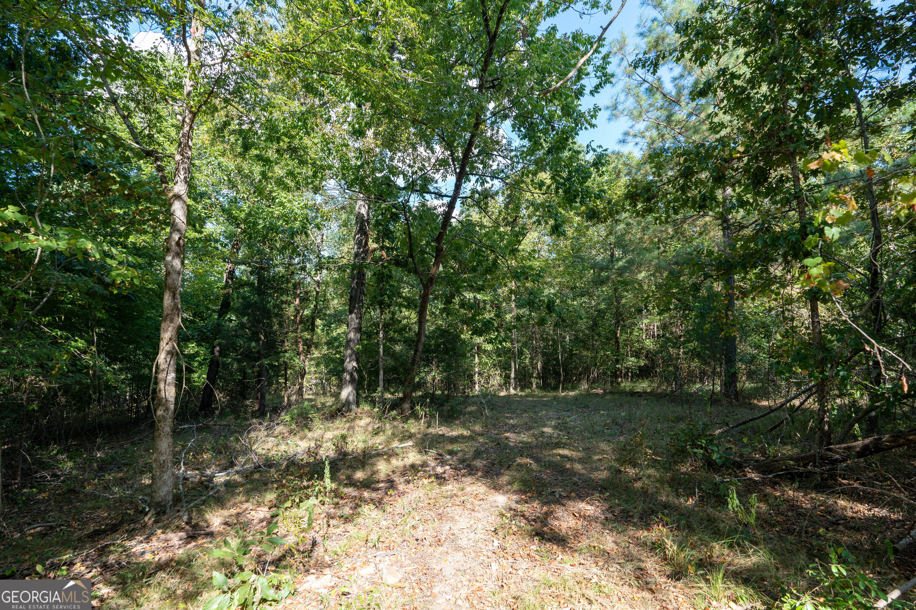 12 Bunch Road Property Photo 39