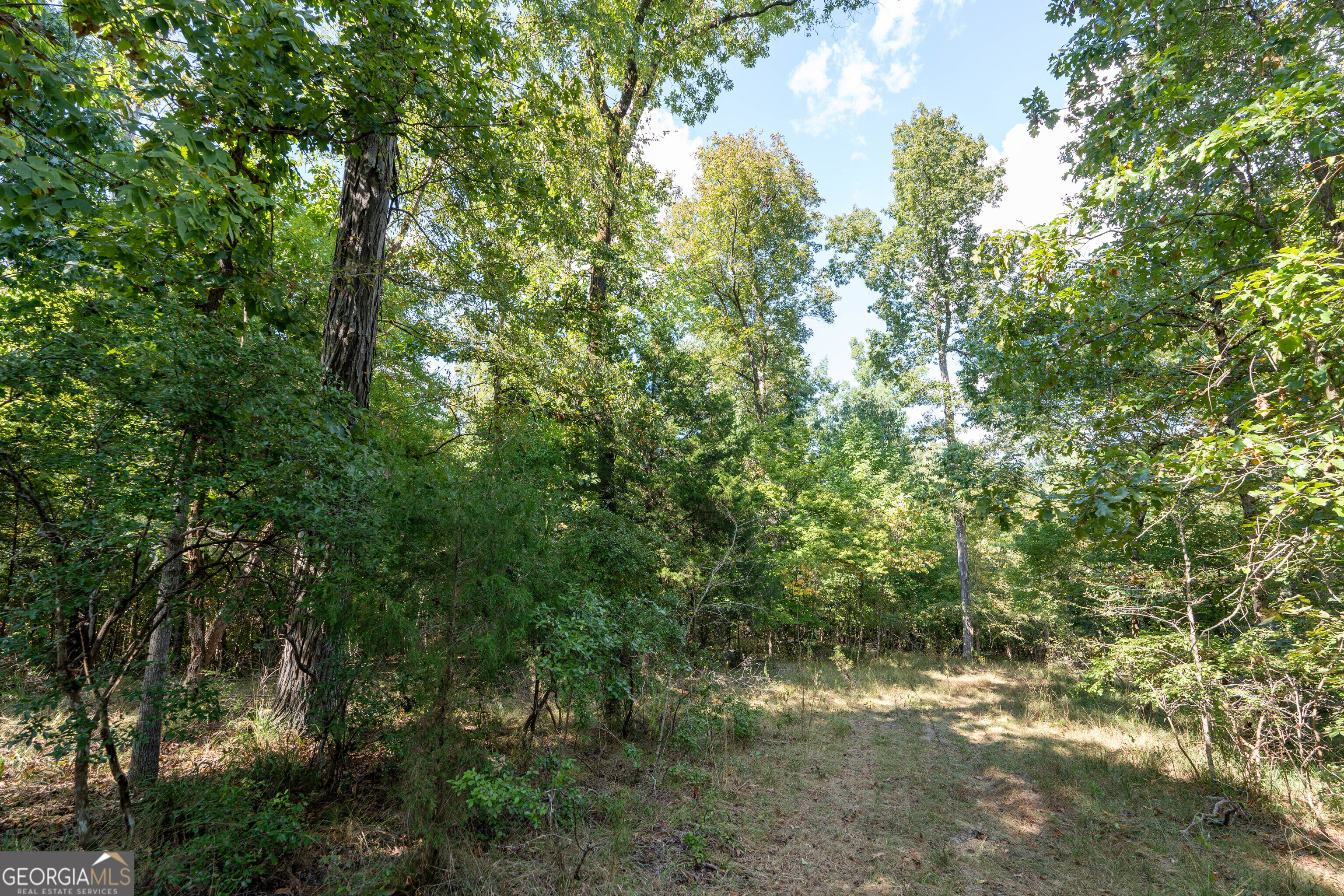 12 Bunch Road Property Photo 40