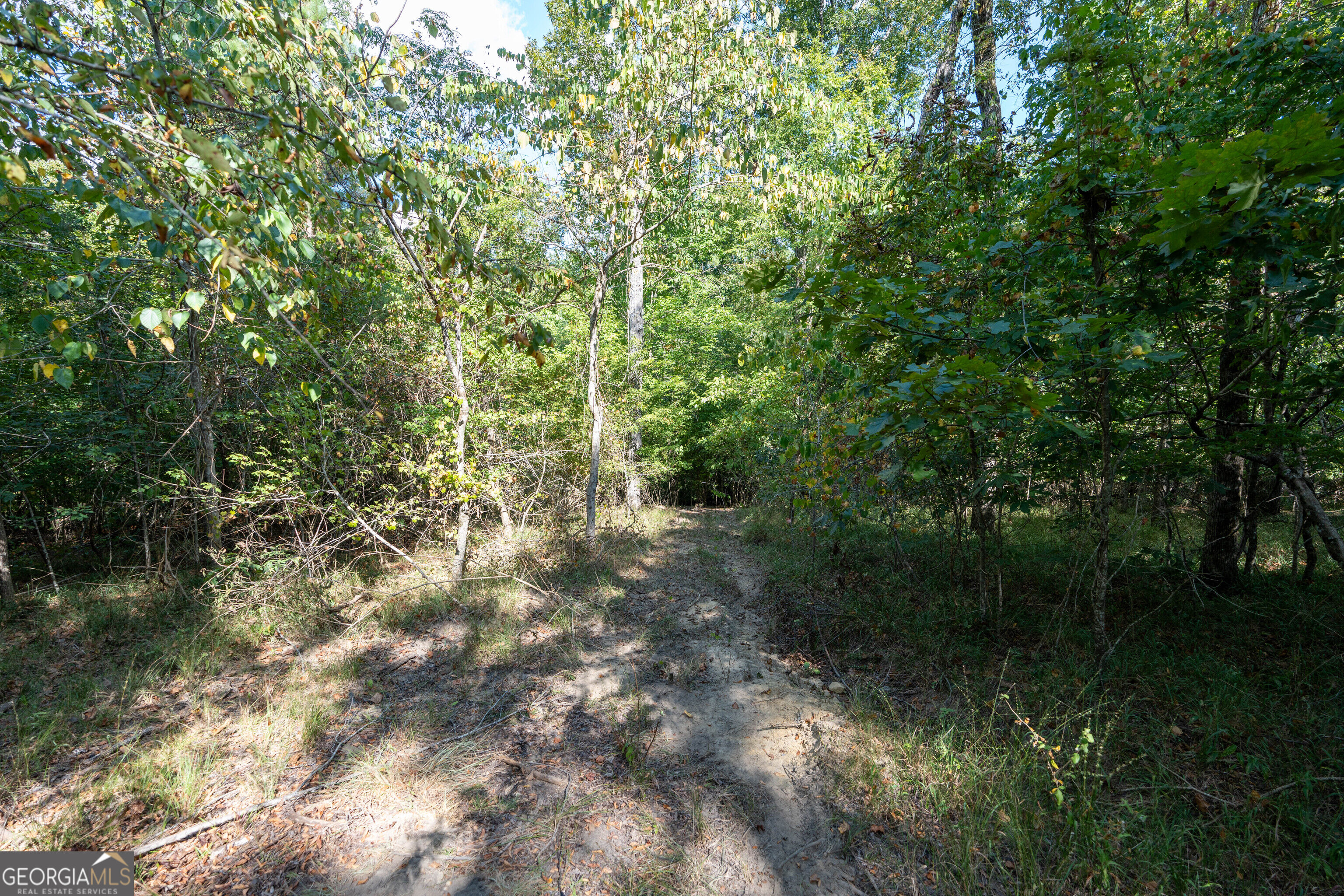 12 Bunch Road Property Photo 41