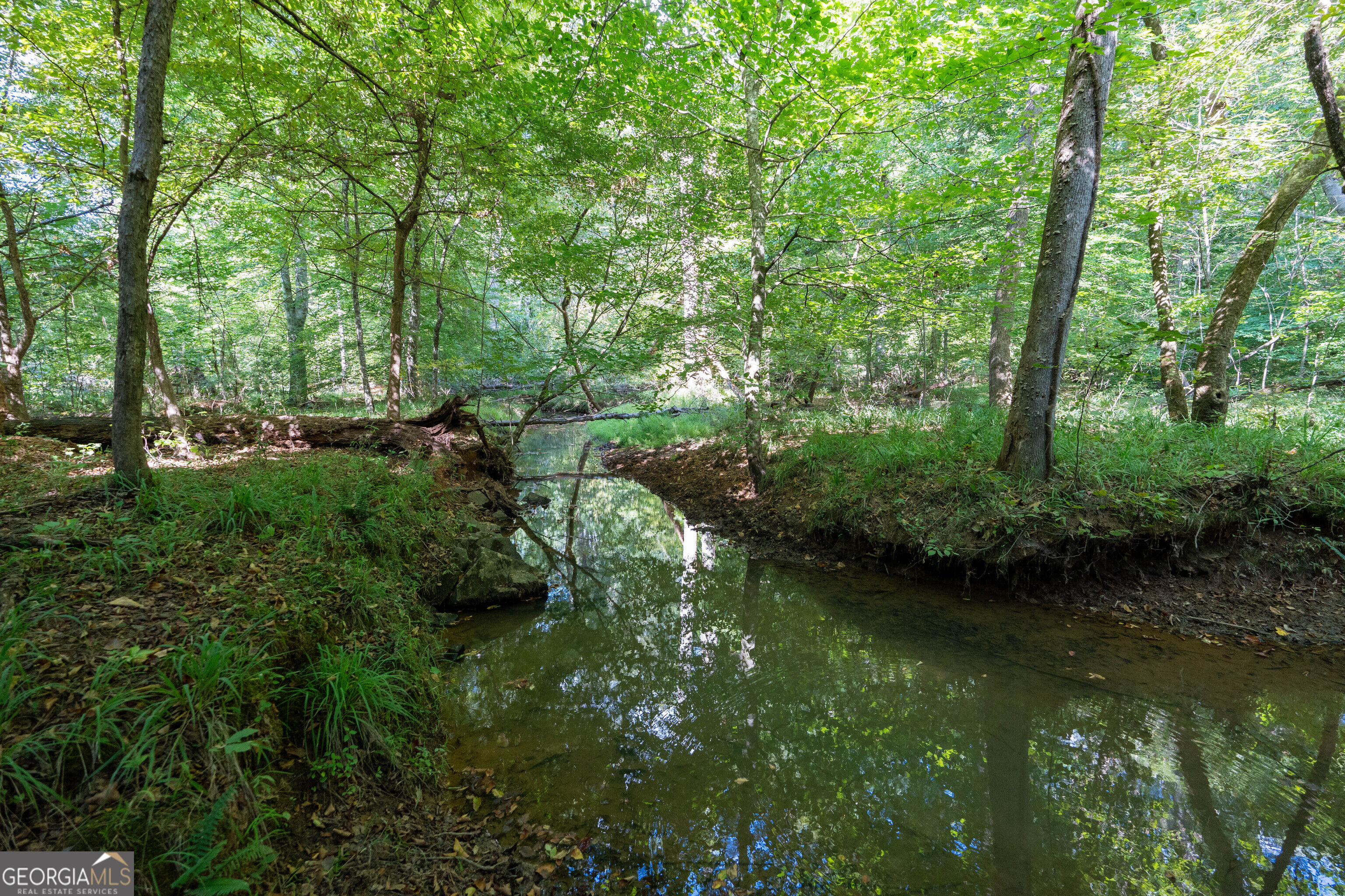 12 Bunch Road Property Photo 42