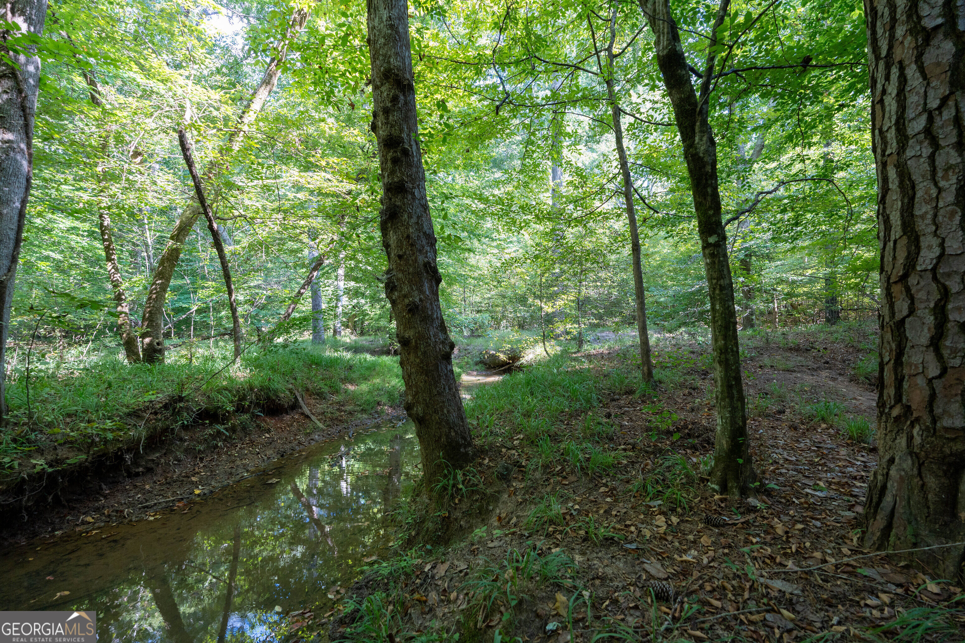 12 Bunch Road Property Photo 45