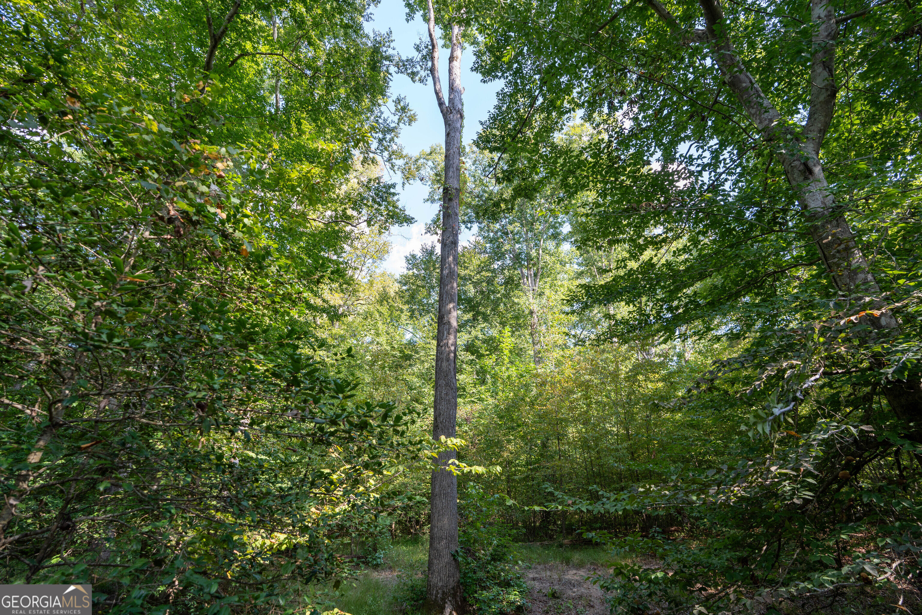 12 Bunch Road Property Photo 46
