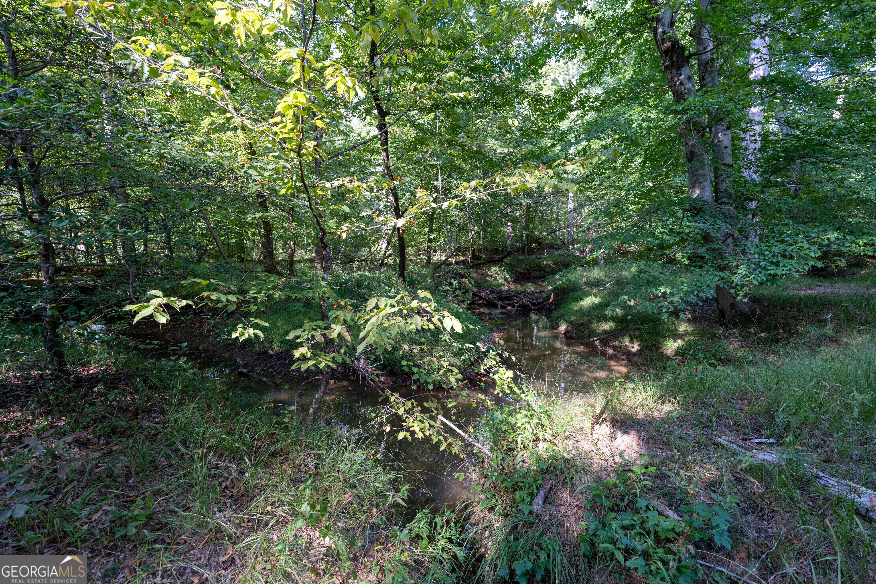 12 Bunch Road Property Photo 47