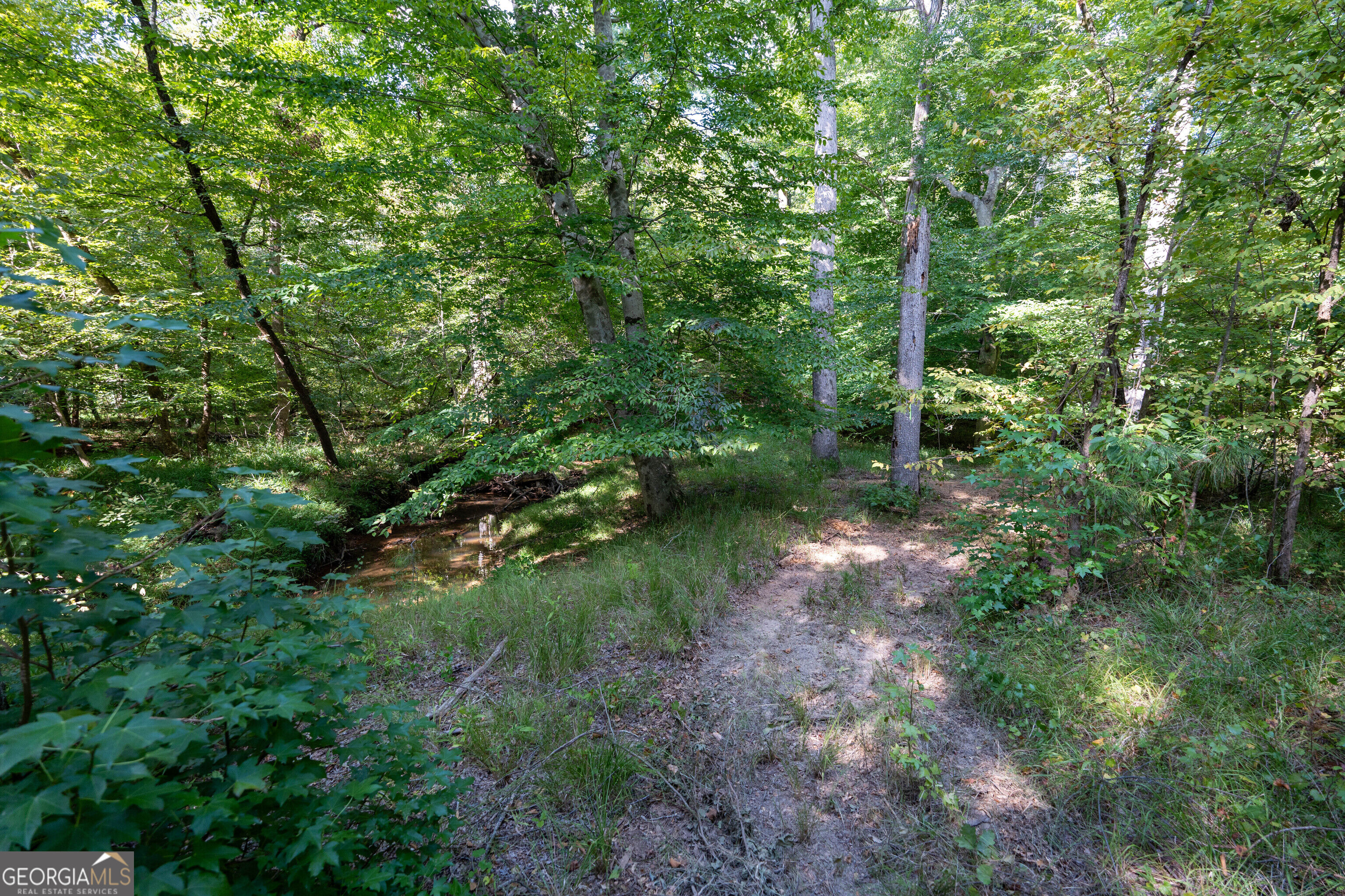 12 Bunch Road Property Photo 48