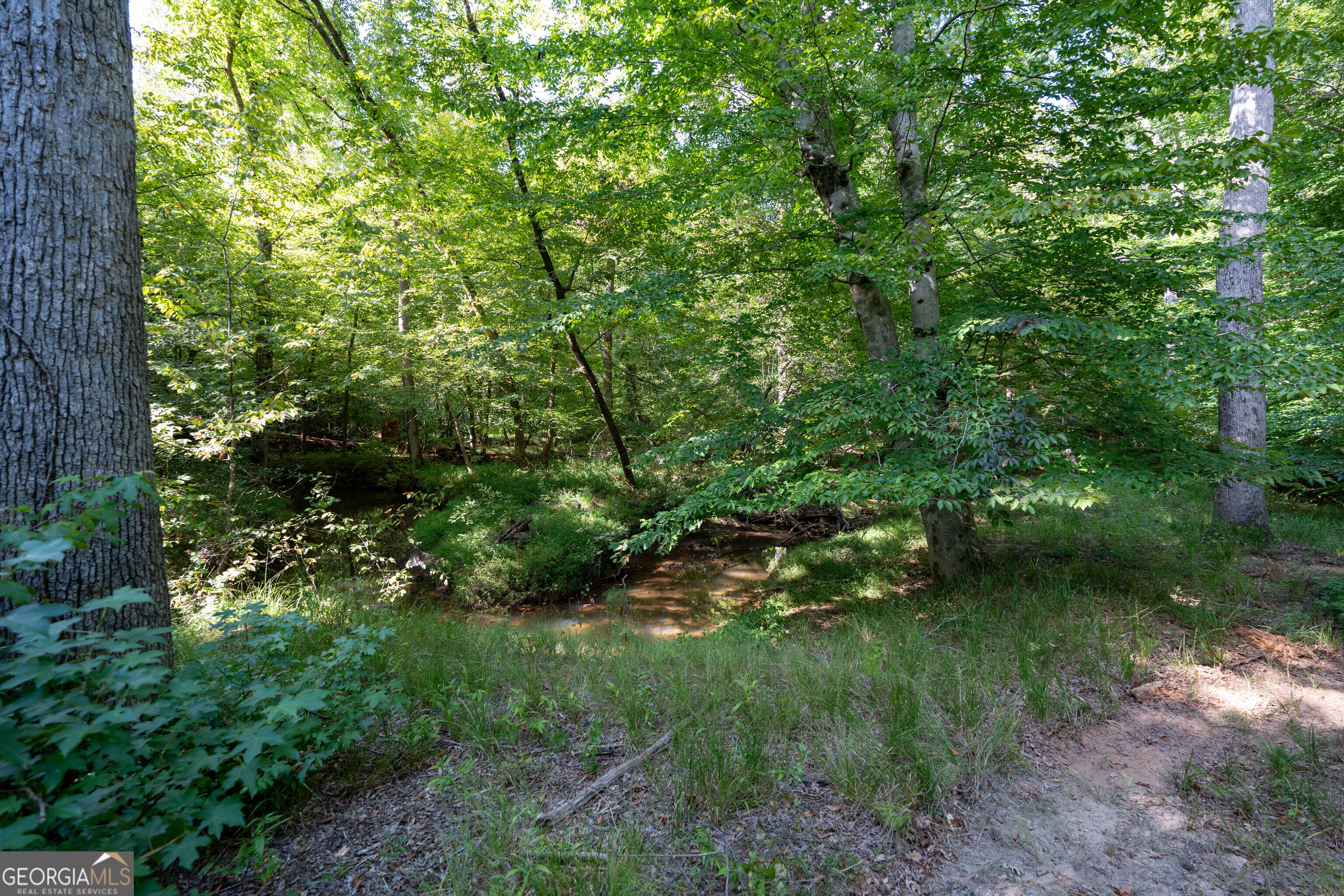 12 Bunch Road Property Photo 49