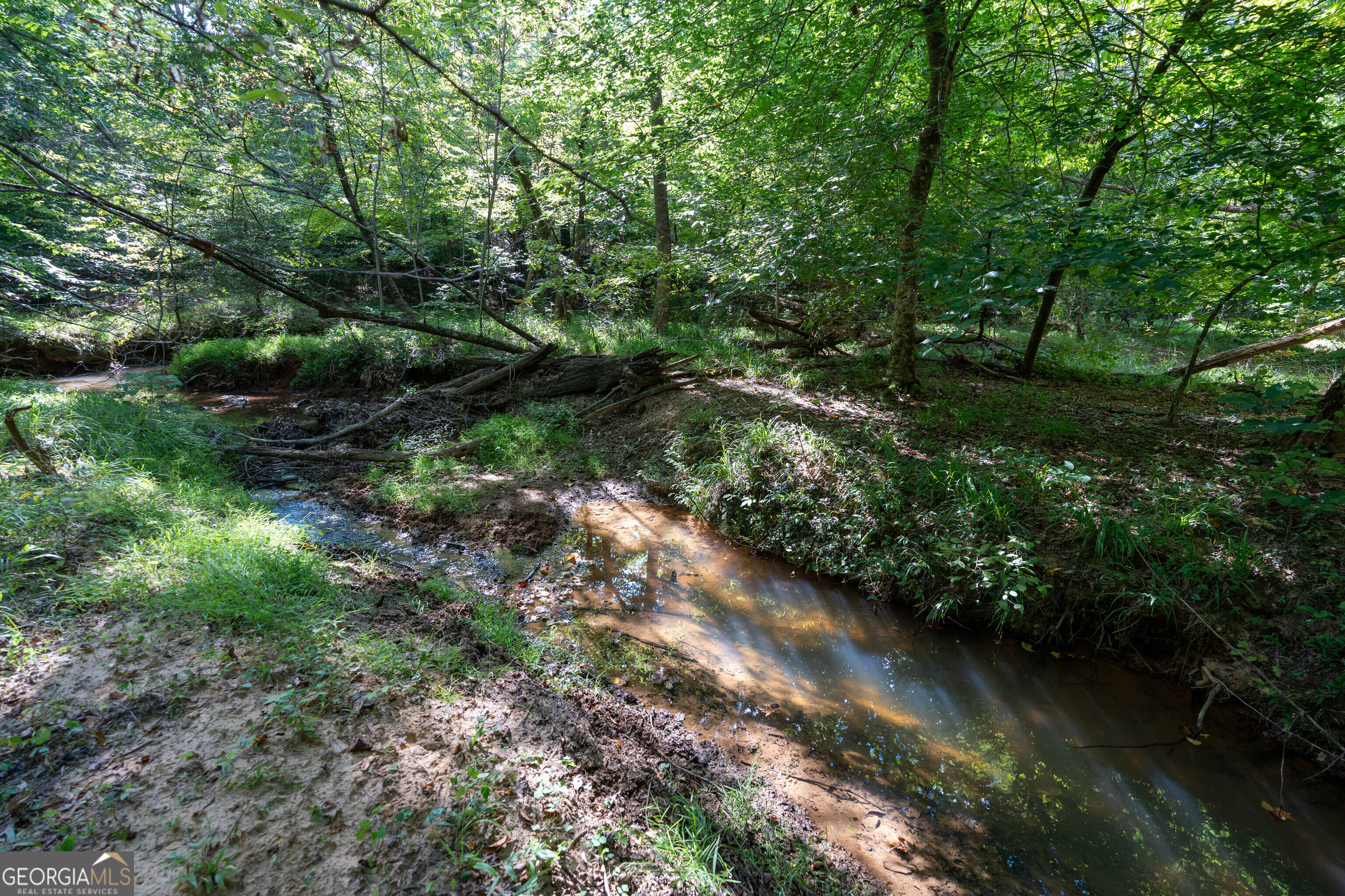 12 Bunch Road Property Photo 50