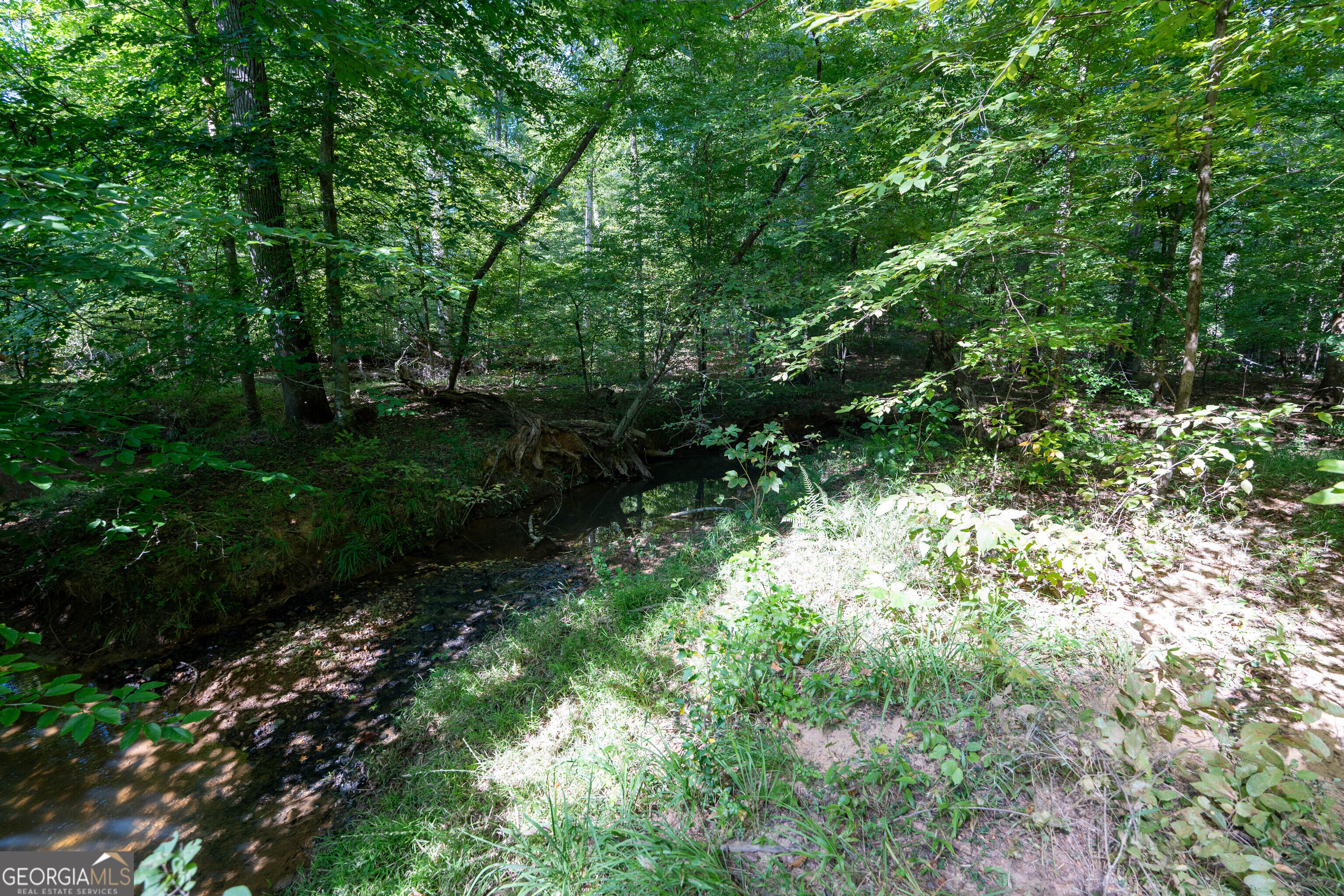 12 Bunch Road Property Photo 51