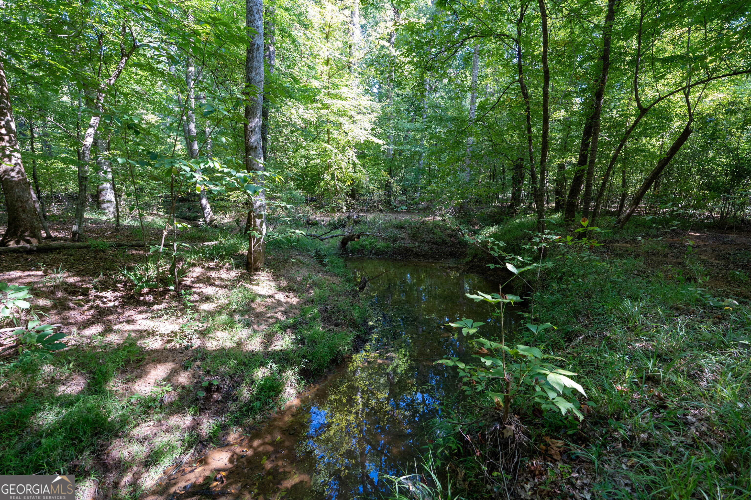 12 Bunch Road Property Photo 53