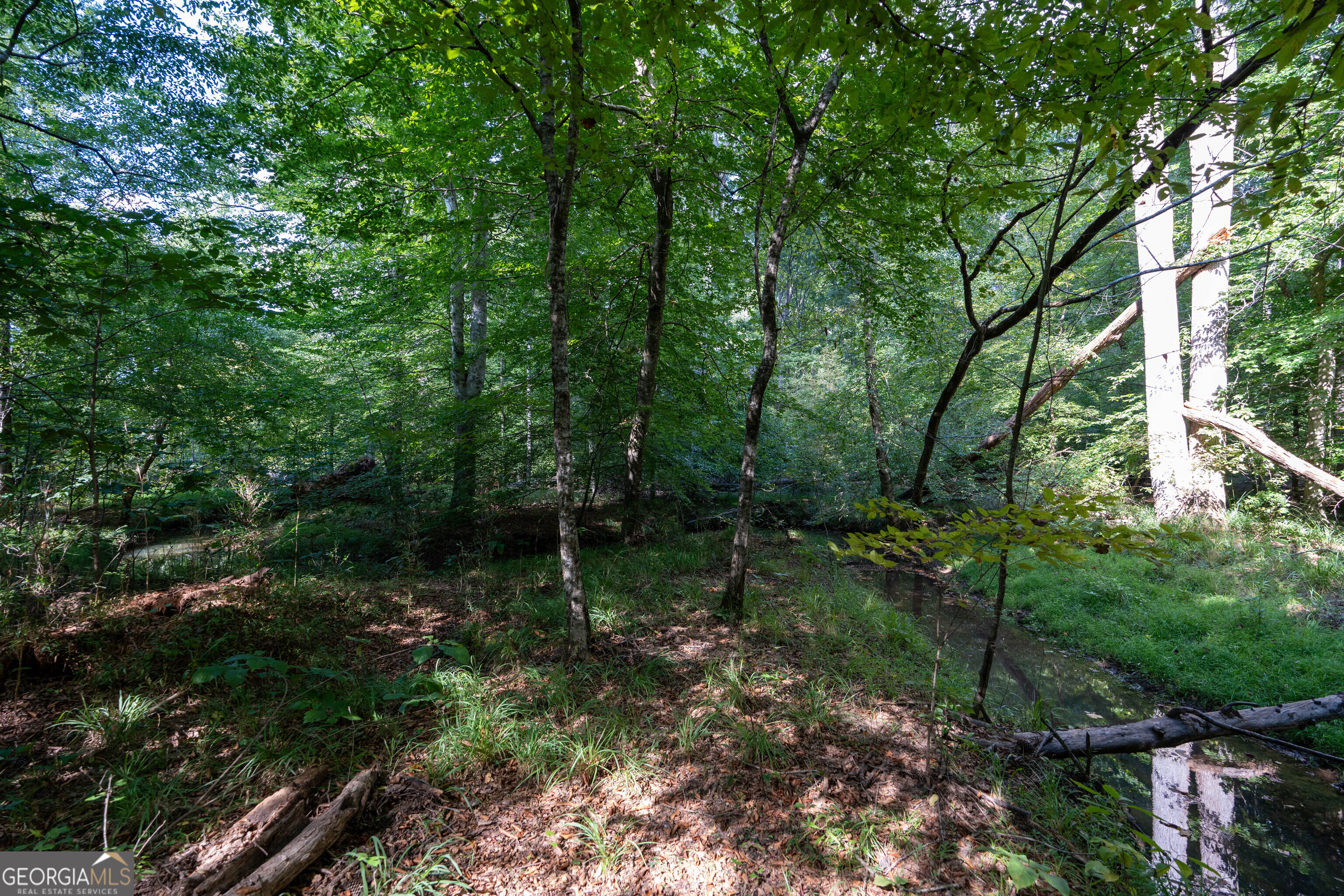 12 Bunch Road Property Photo 54