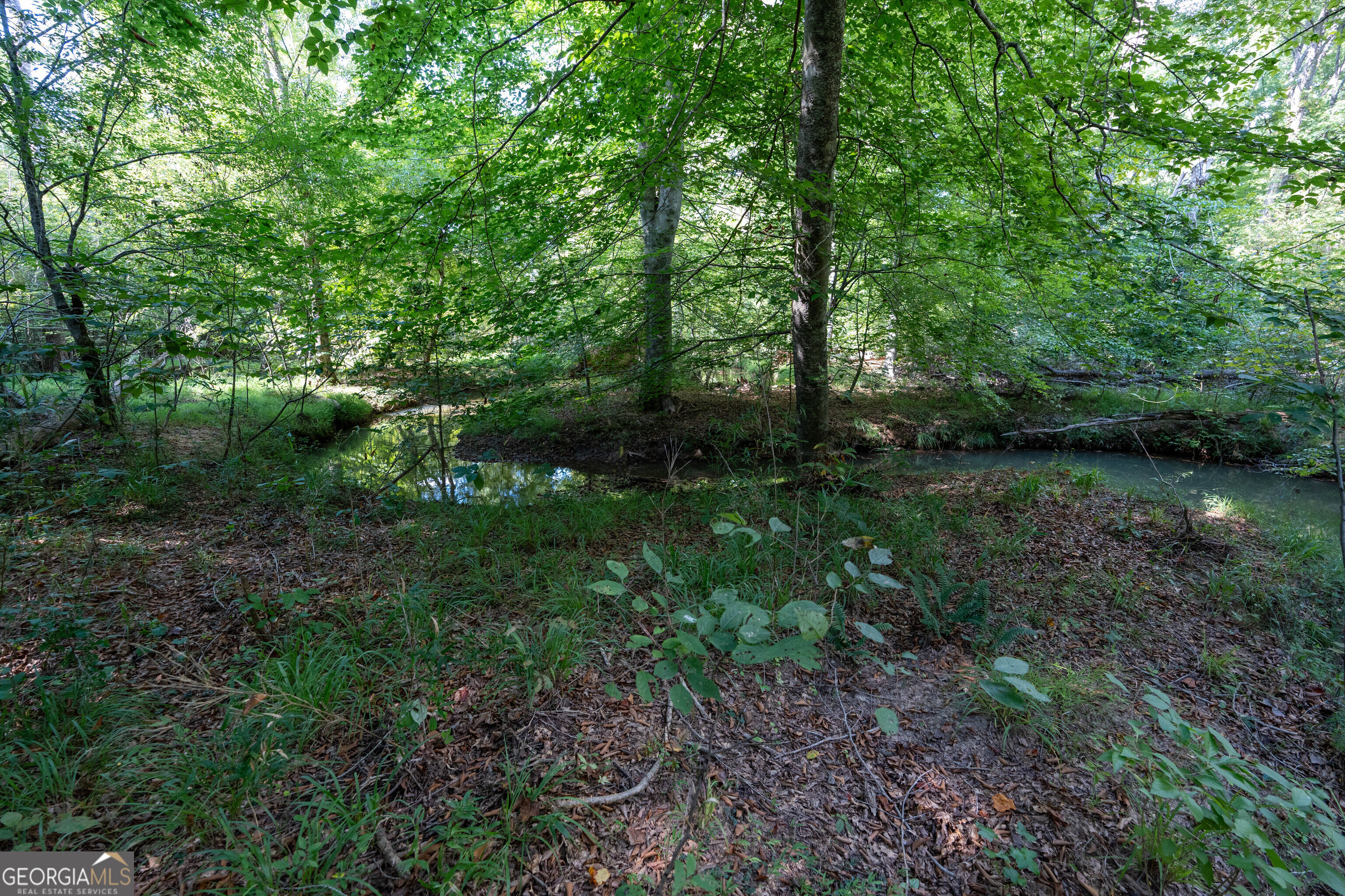 12 Bunch Road Property Photo 55