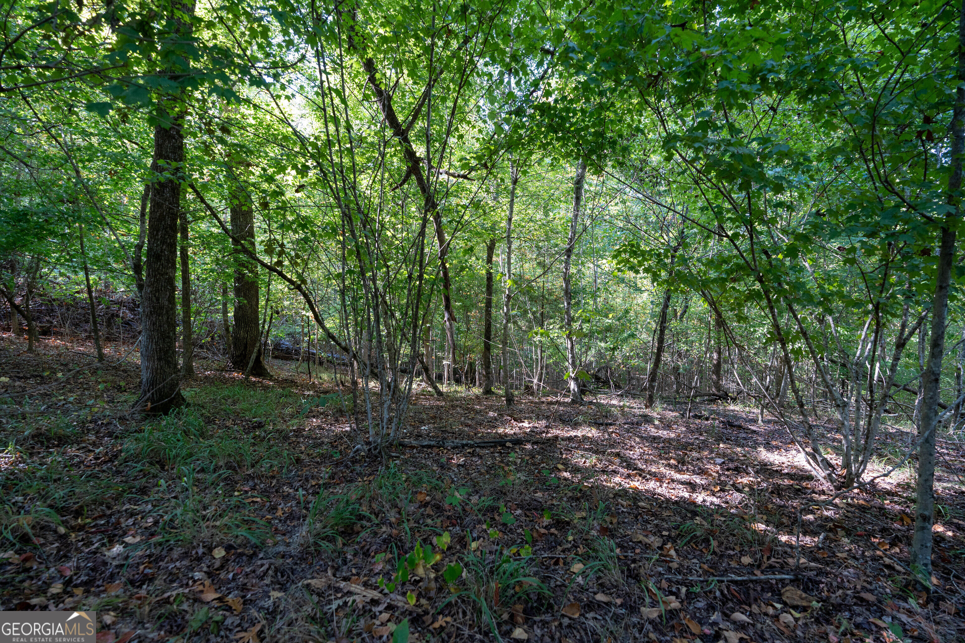 12 Bunch Road Property Photo 56