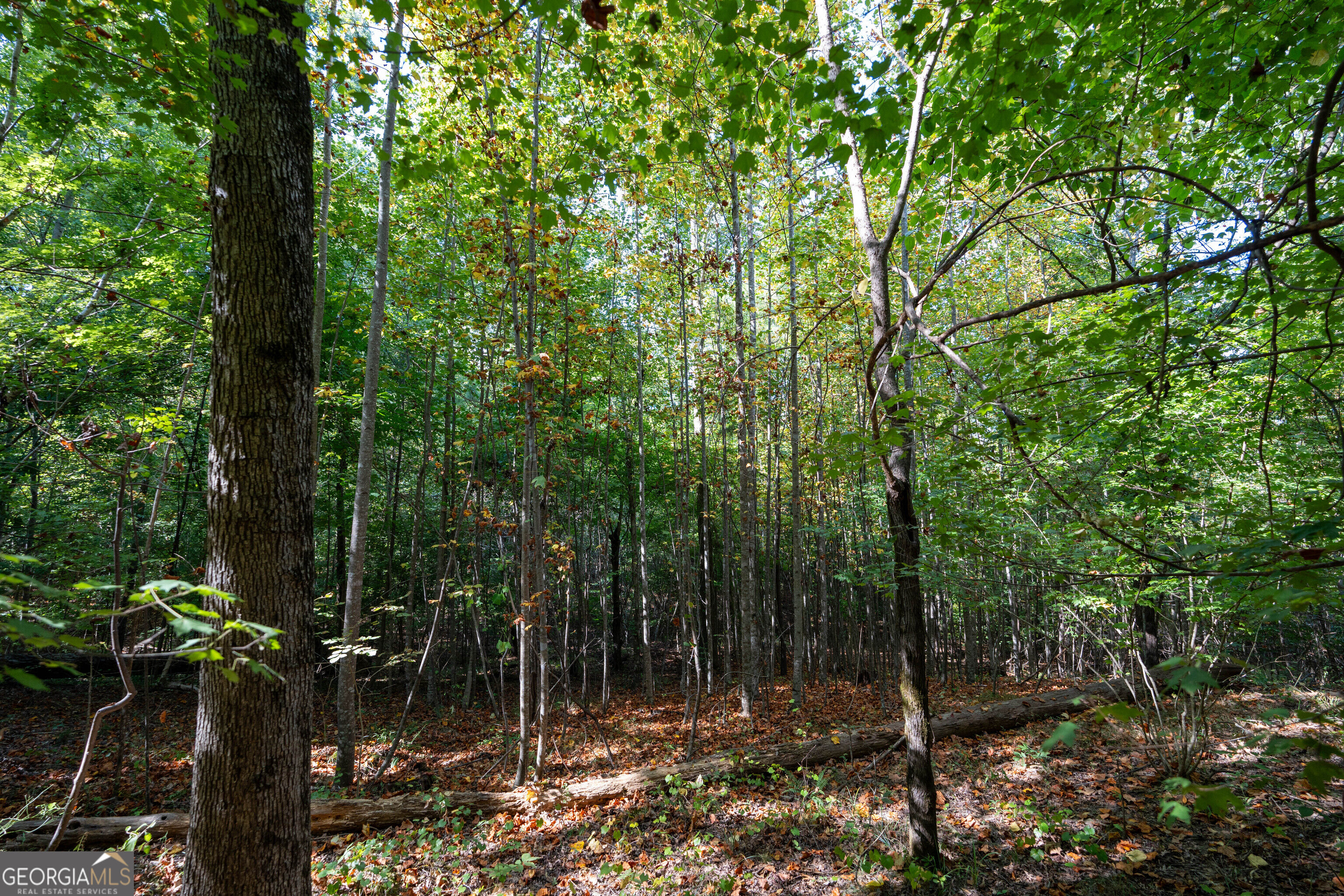 12 Bunch Road Property Photo 57