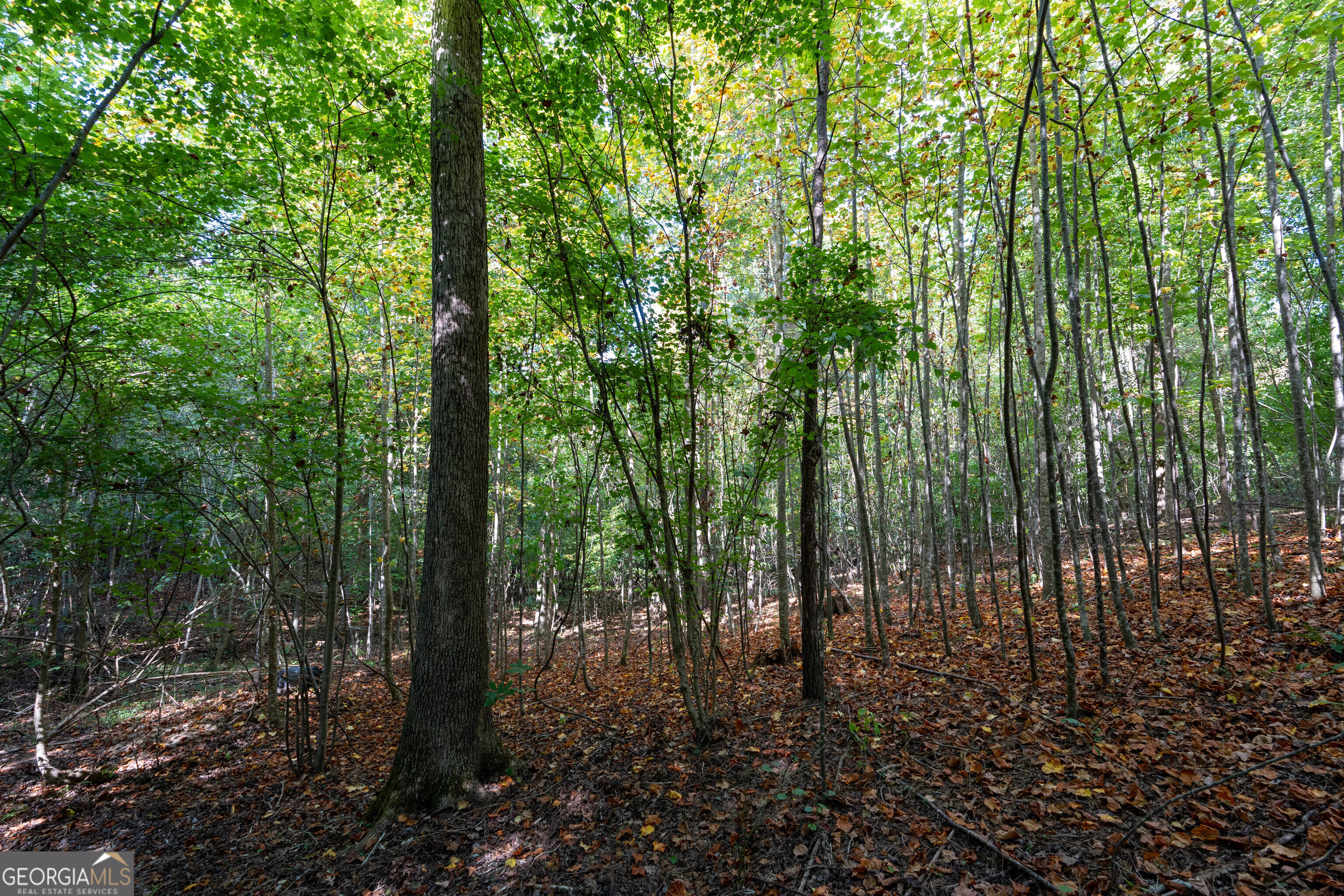 12 Bunch Road Property Photo 58