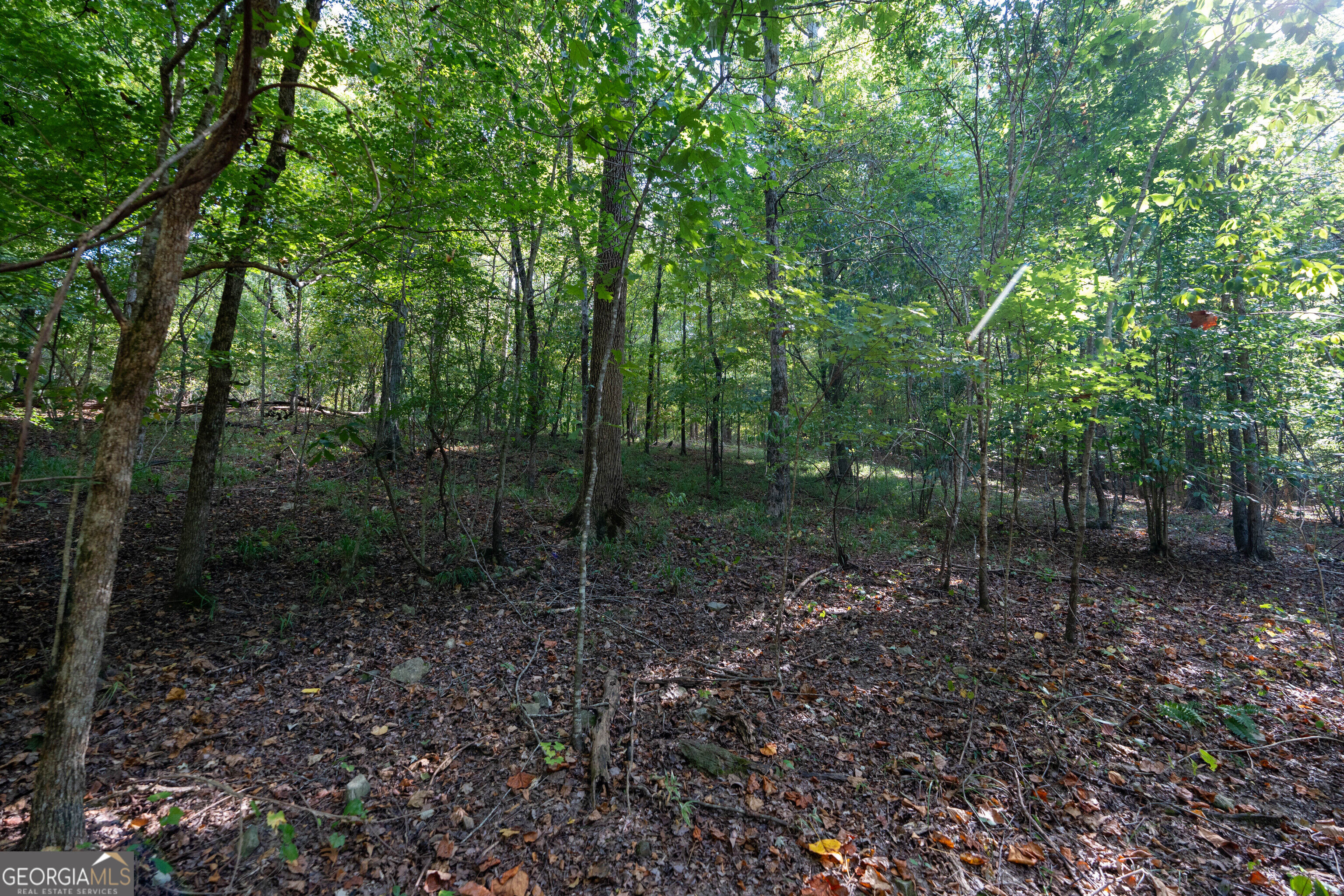 12 Bunch Road Property Photo 60