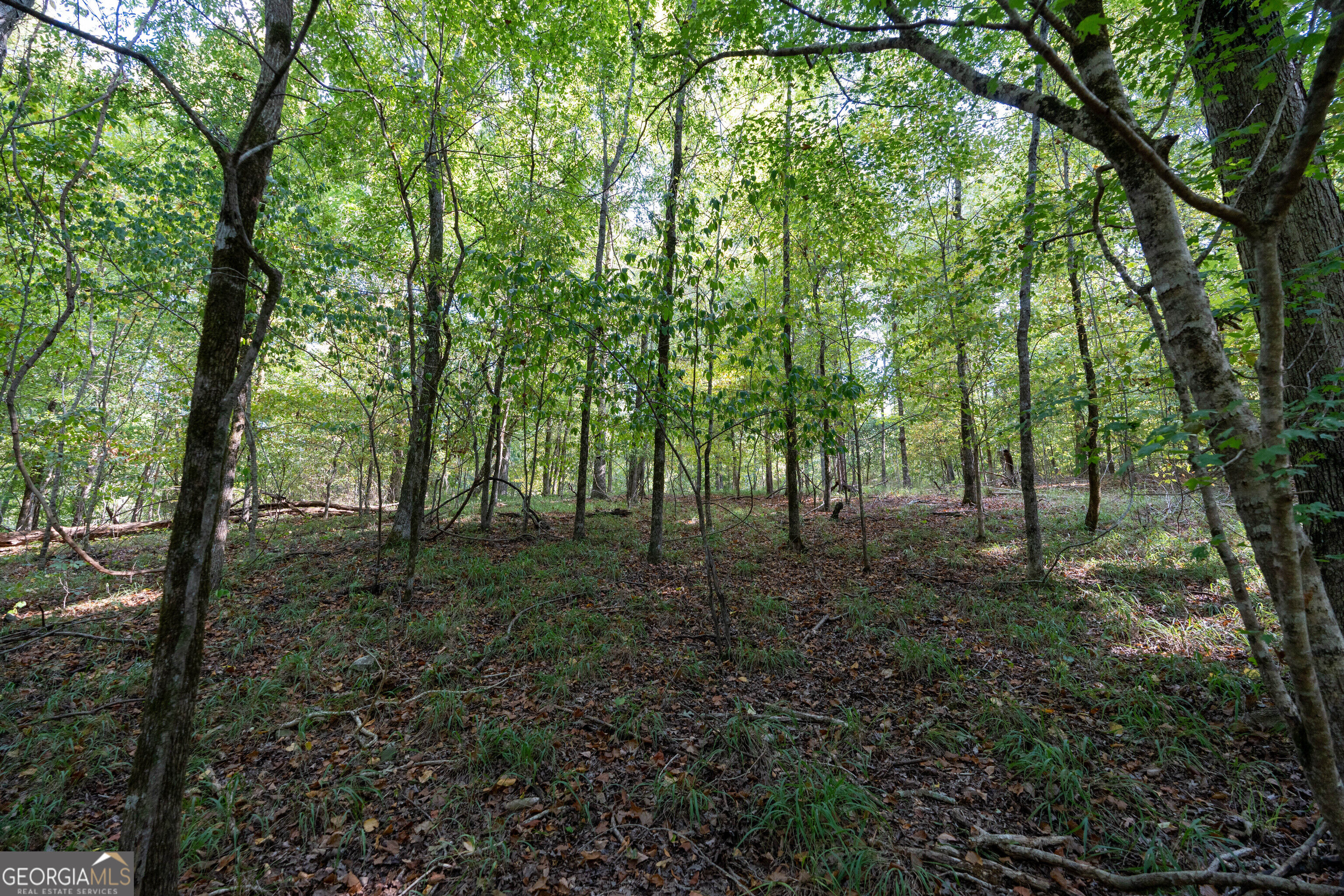 12 Bunch Road Property Photo 61