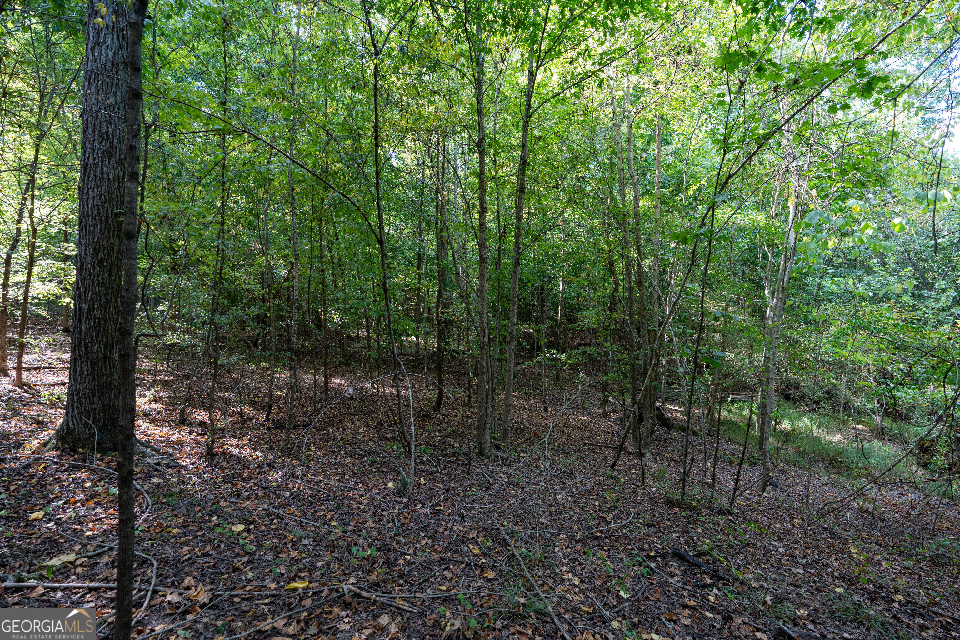 12 Bunch Road Property Photo 62