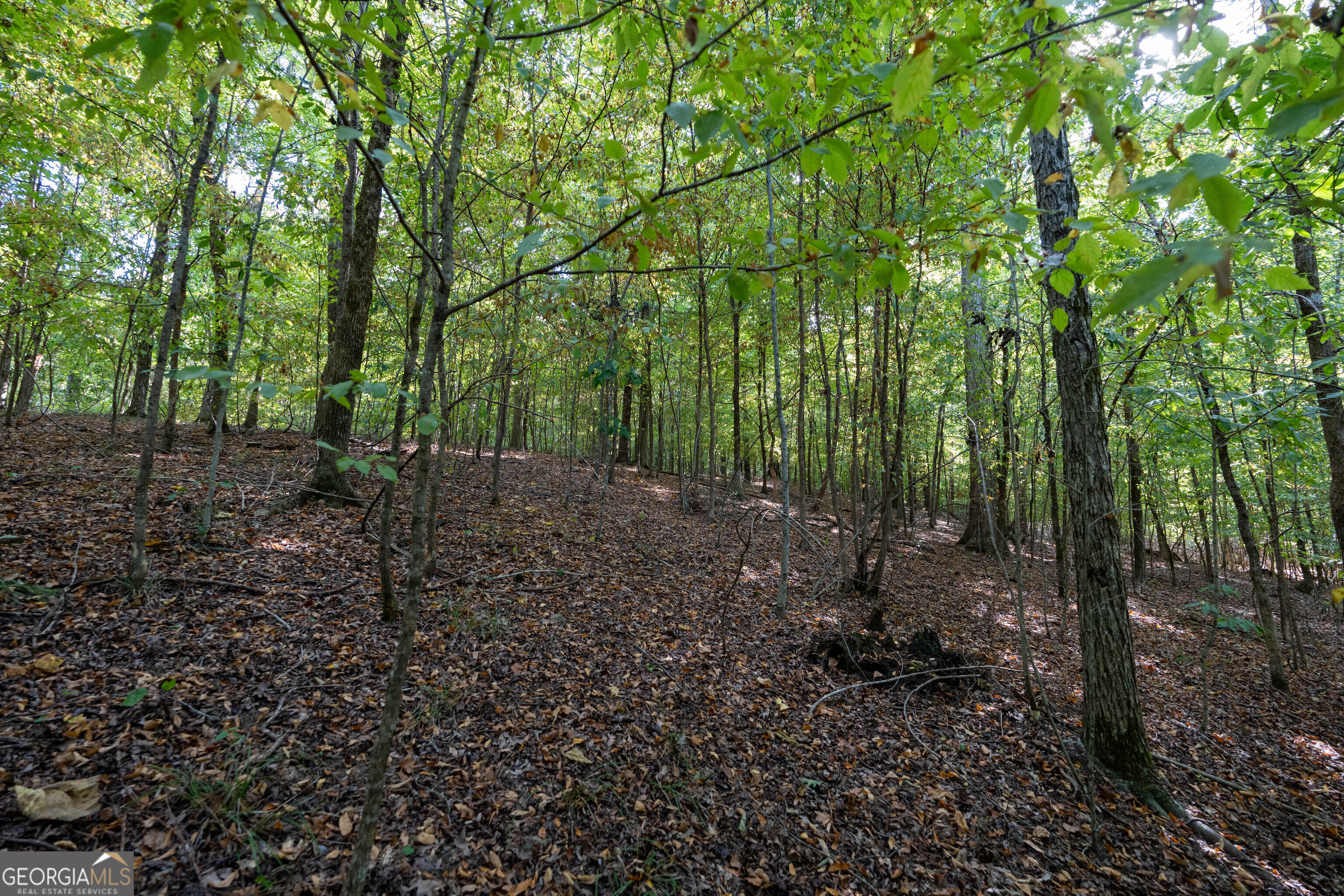 12 Bunch Road Property Photo 63