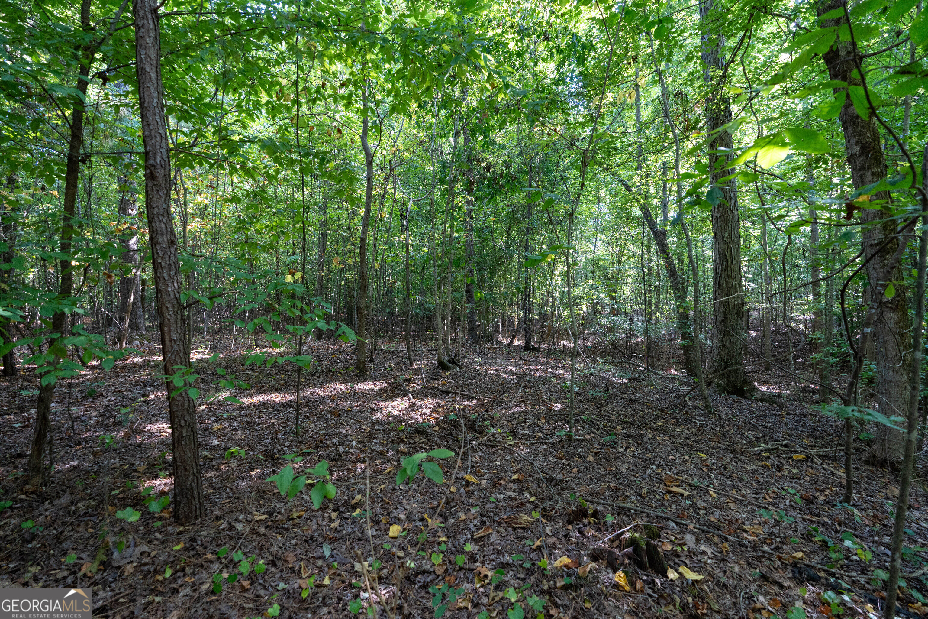 12 Bunch Road Property Photo 64