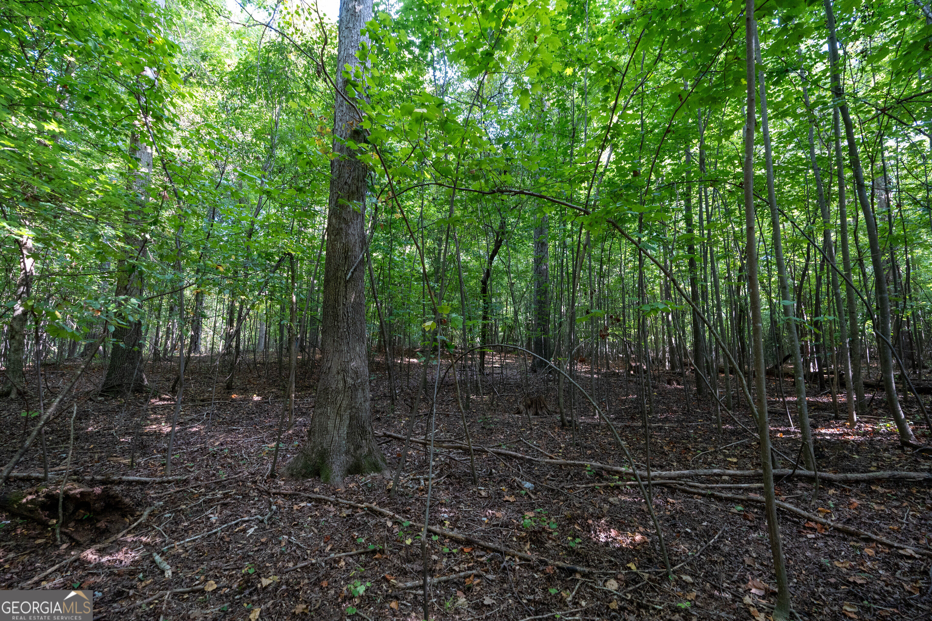 12 Bunch Road Property Photo 68
