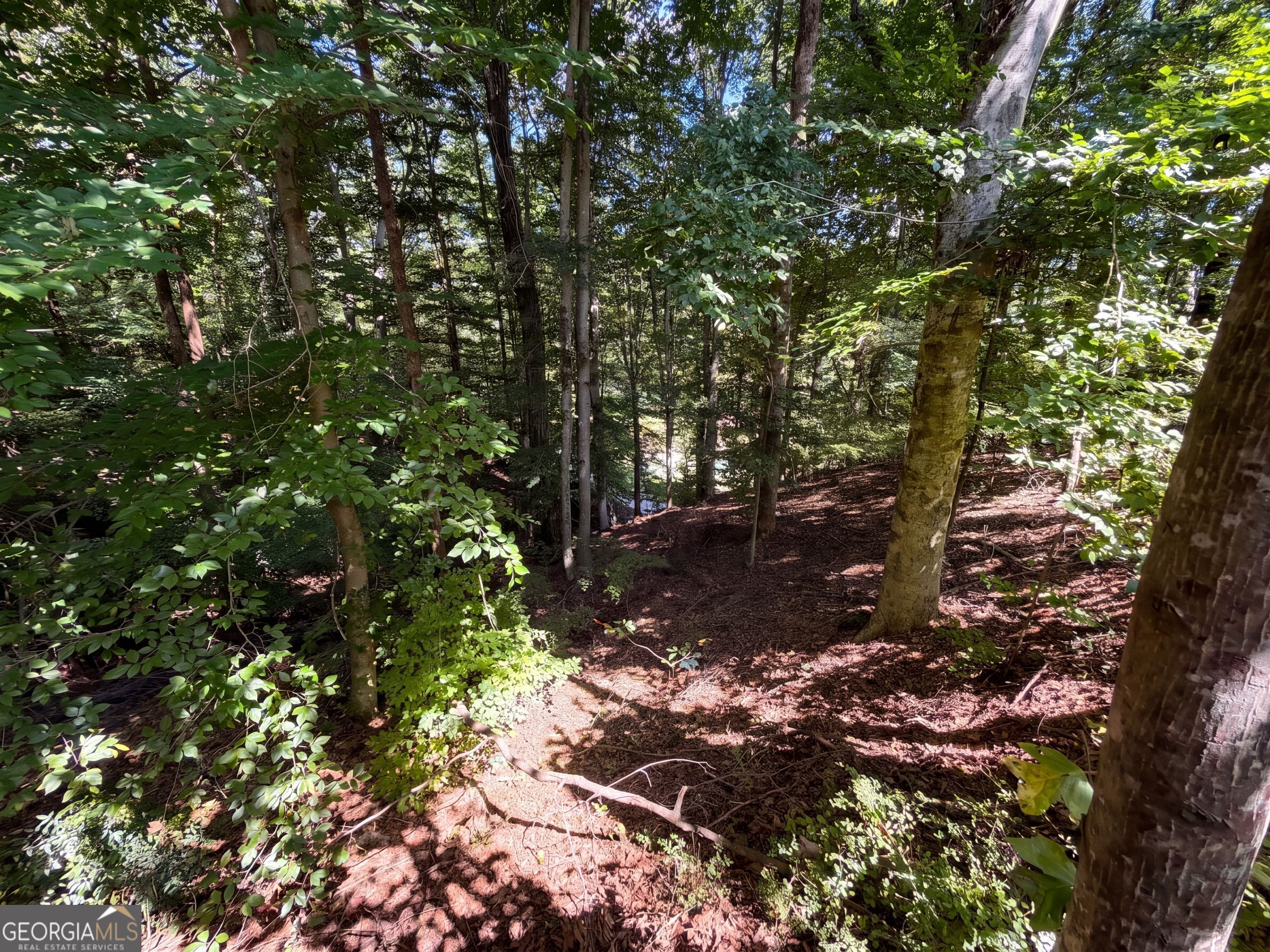 2090 River Heights Walk Se Property Photo 29