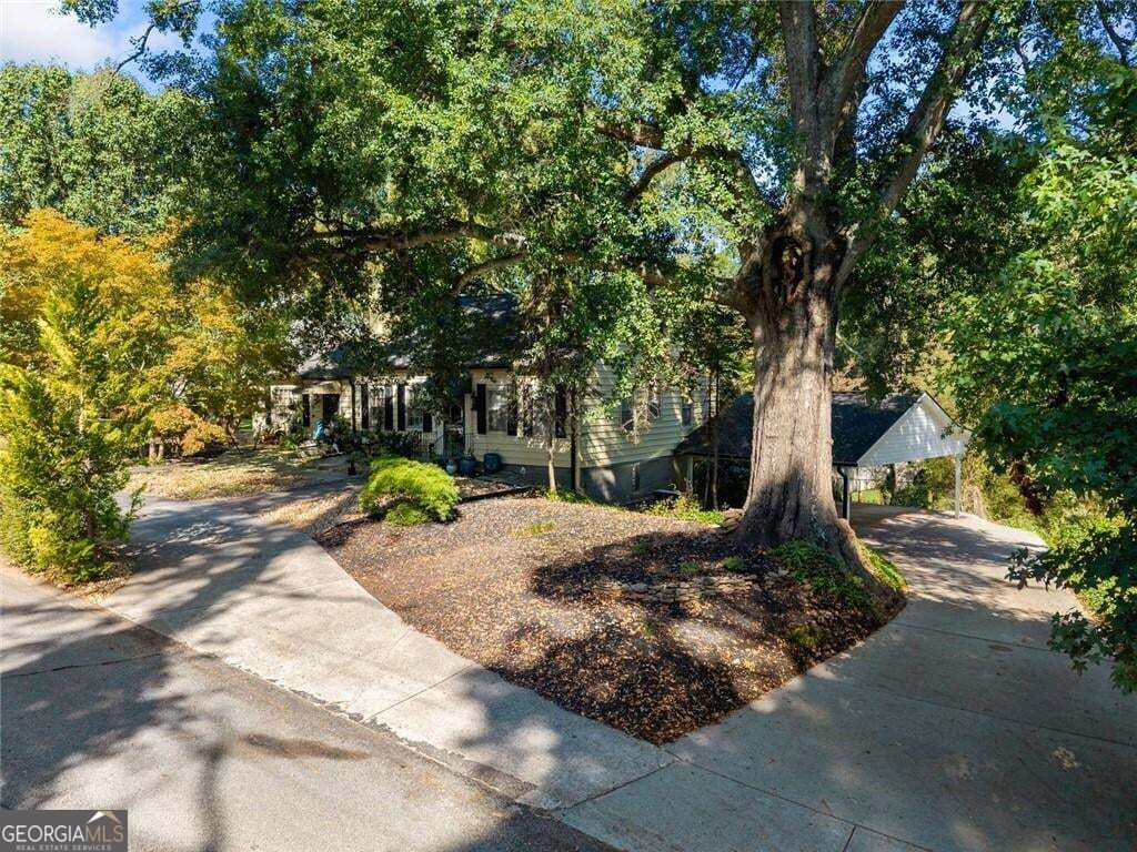 1049 Park Street Property Photo 4