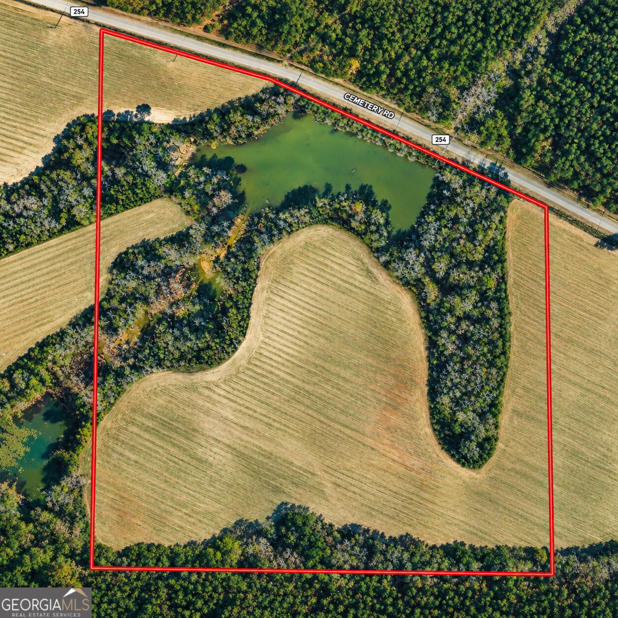 43.5 Acres Cemetery Road Property Photo 3