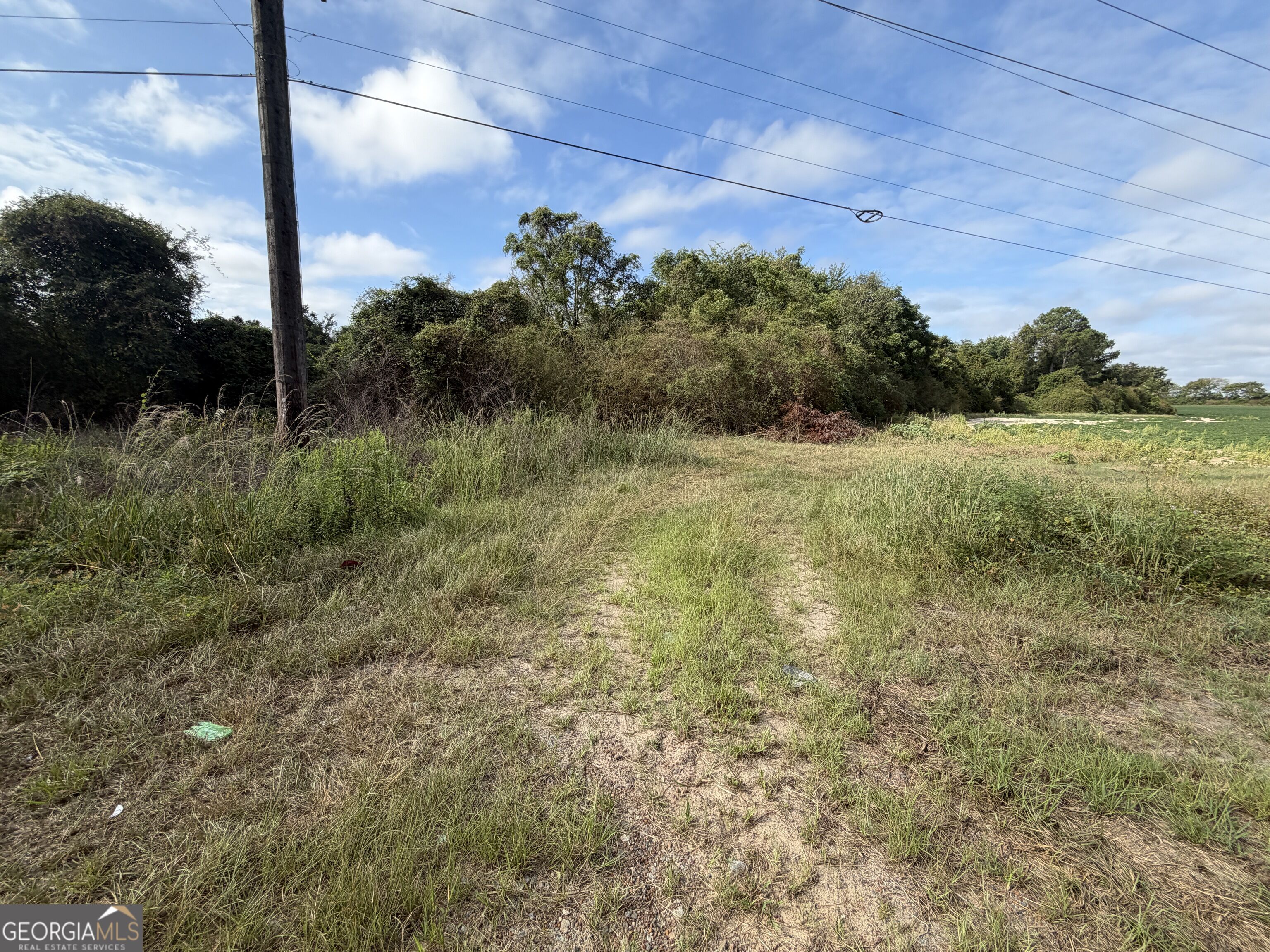 43.5 Acres Cemetery Road Property Photo 14