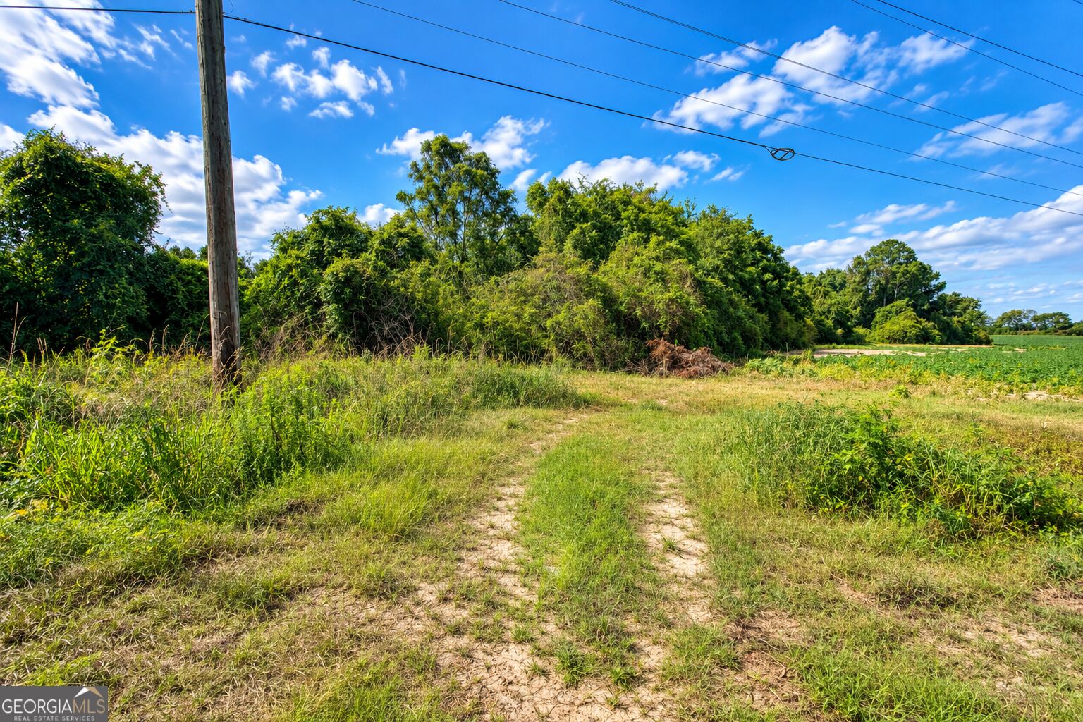 43.5 Acres Cemetery Road Property Photo 16