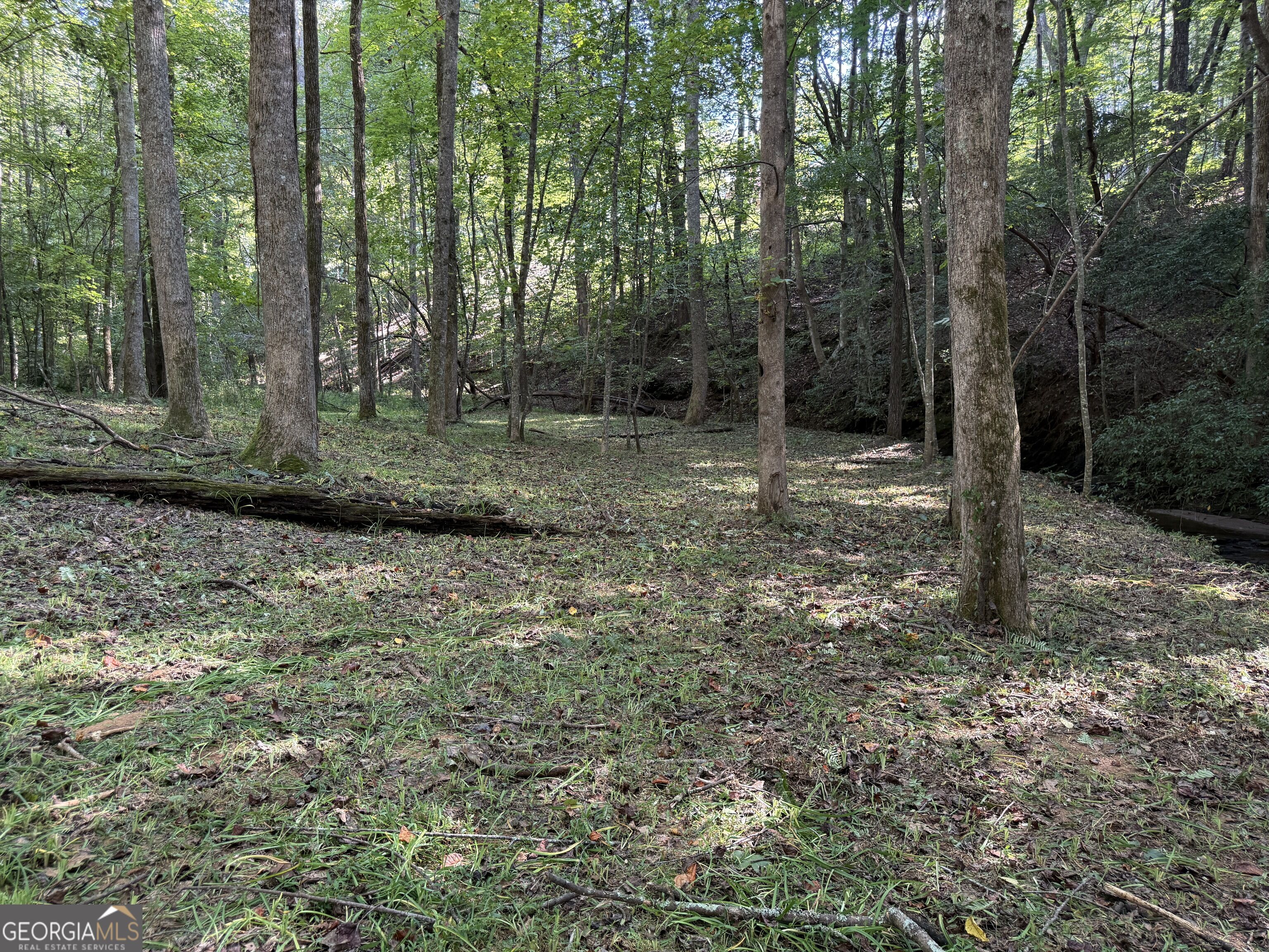 149 Hidden Creek Road Property Photo 7