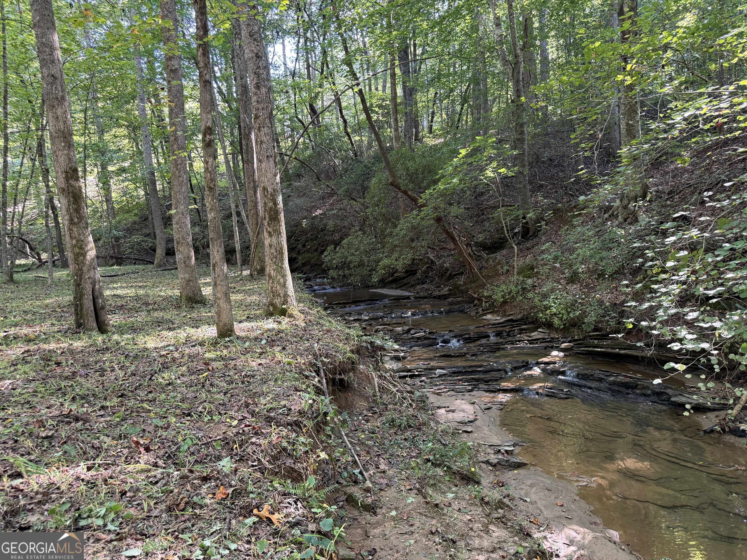 149 Hidden Creek Road Property Photo 8
