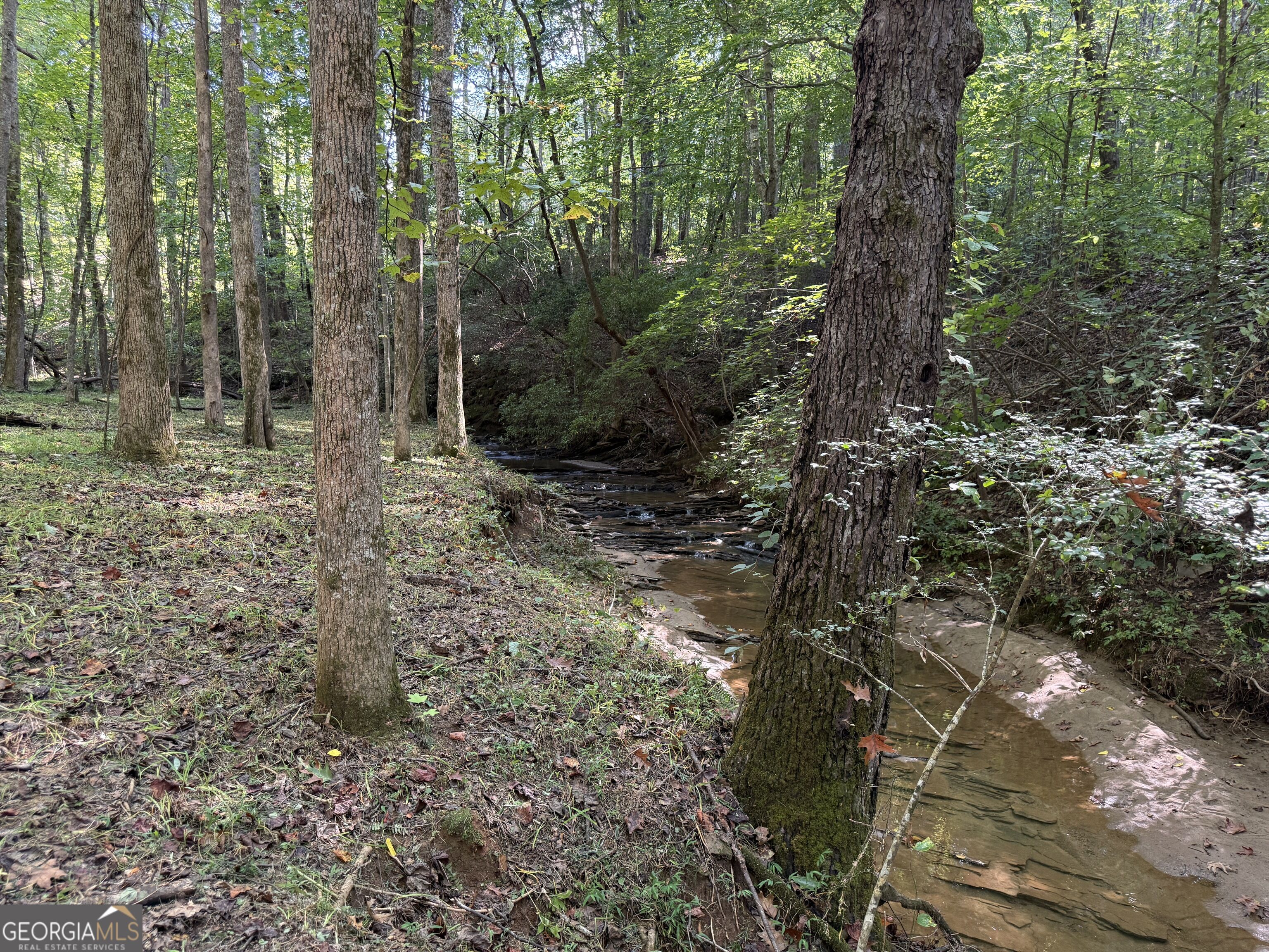 149 Hidden Creek Road Property Photo 11