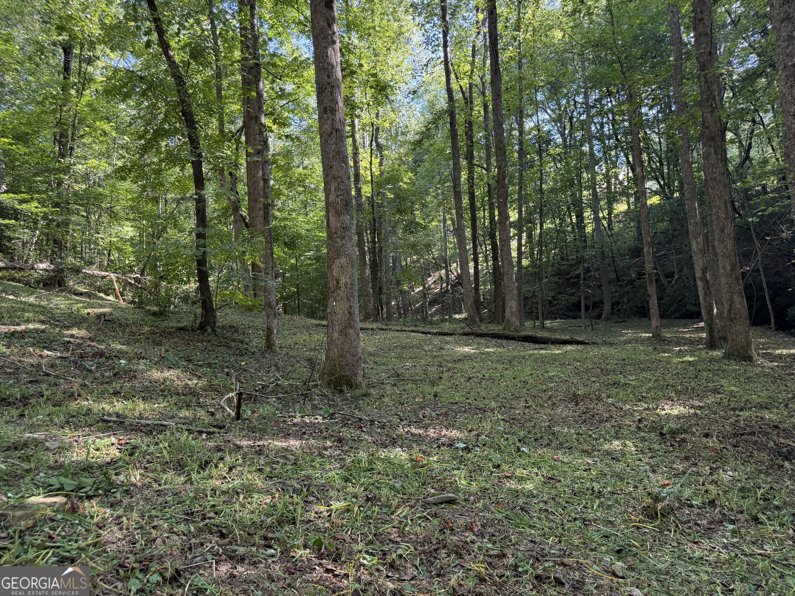 149 Hidden Creek Road Property Photo 16