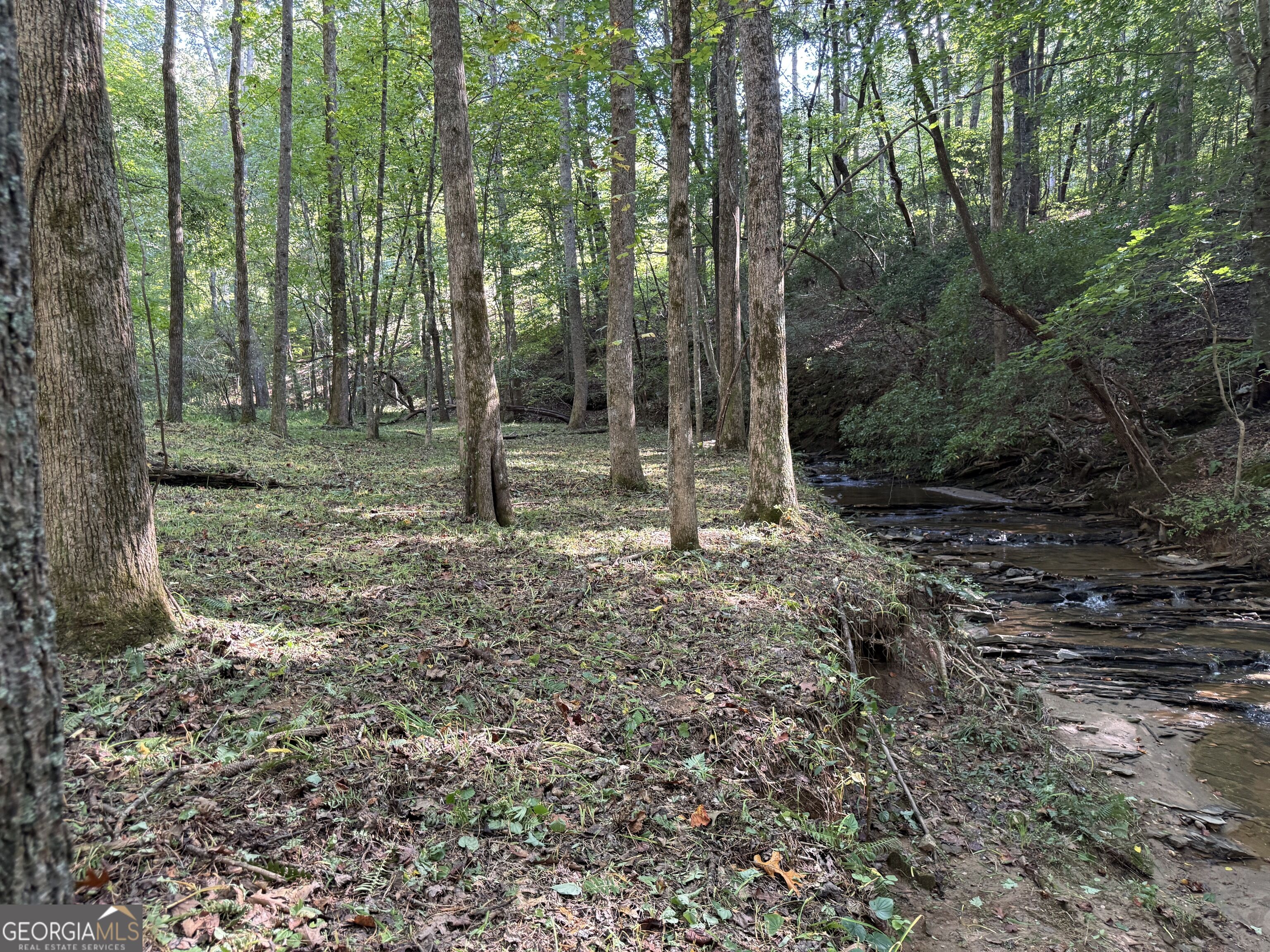 149 Hidden Creek Road Property Photo 20