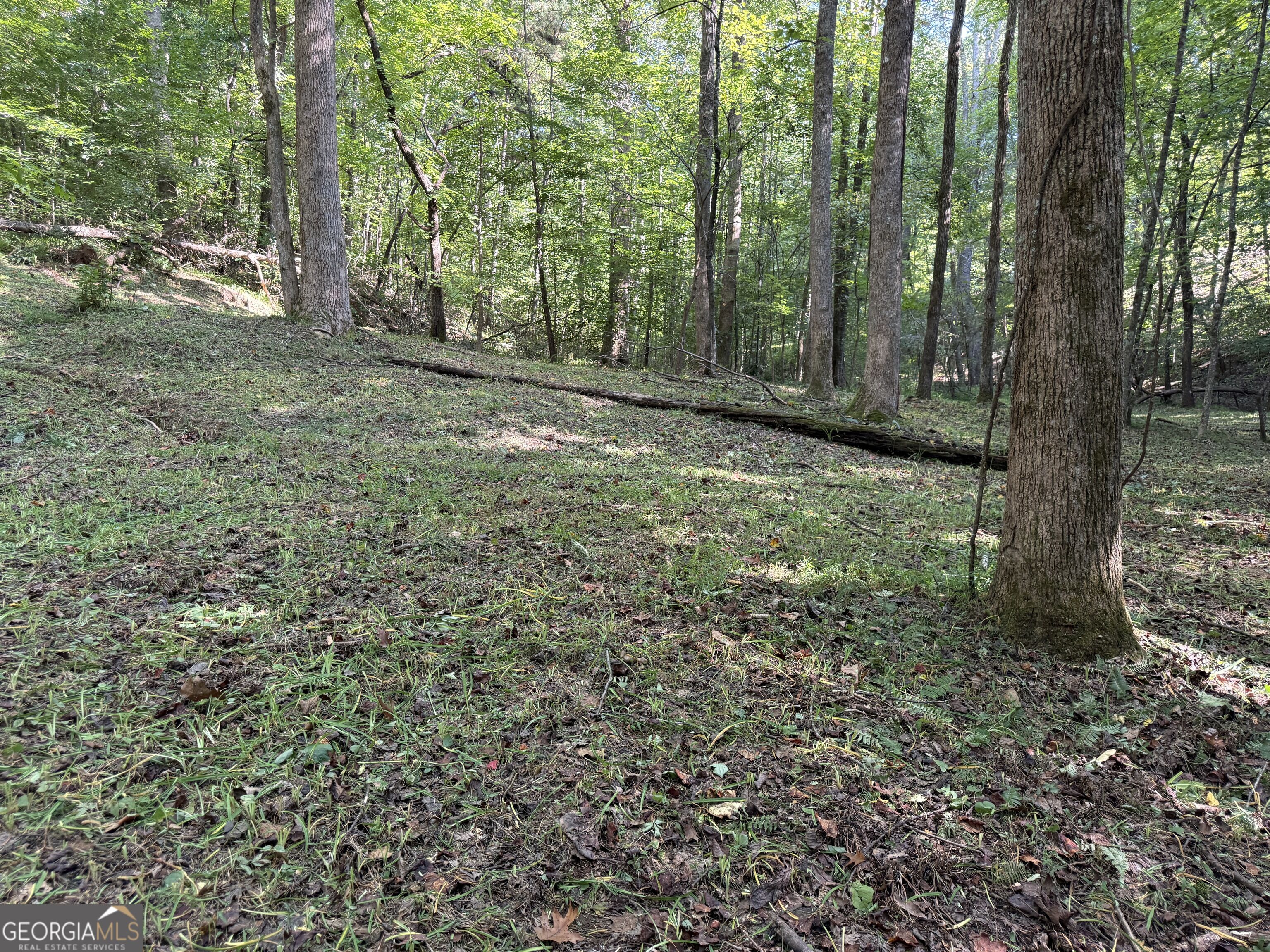 149 Hidden Creek Road Property Photo 74