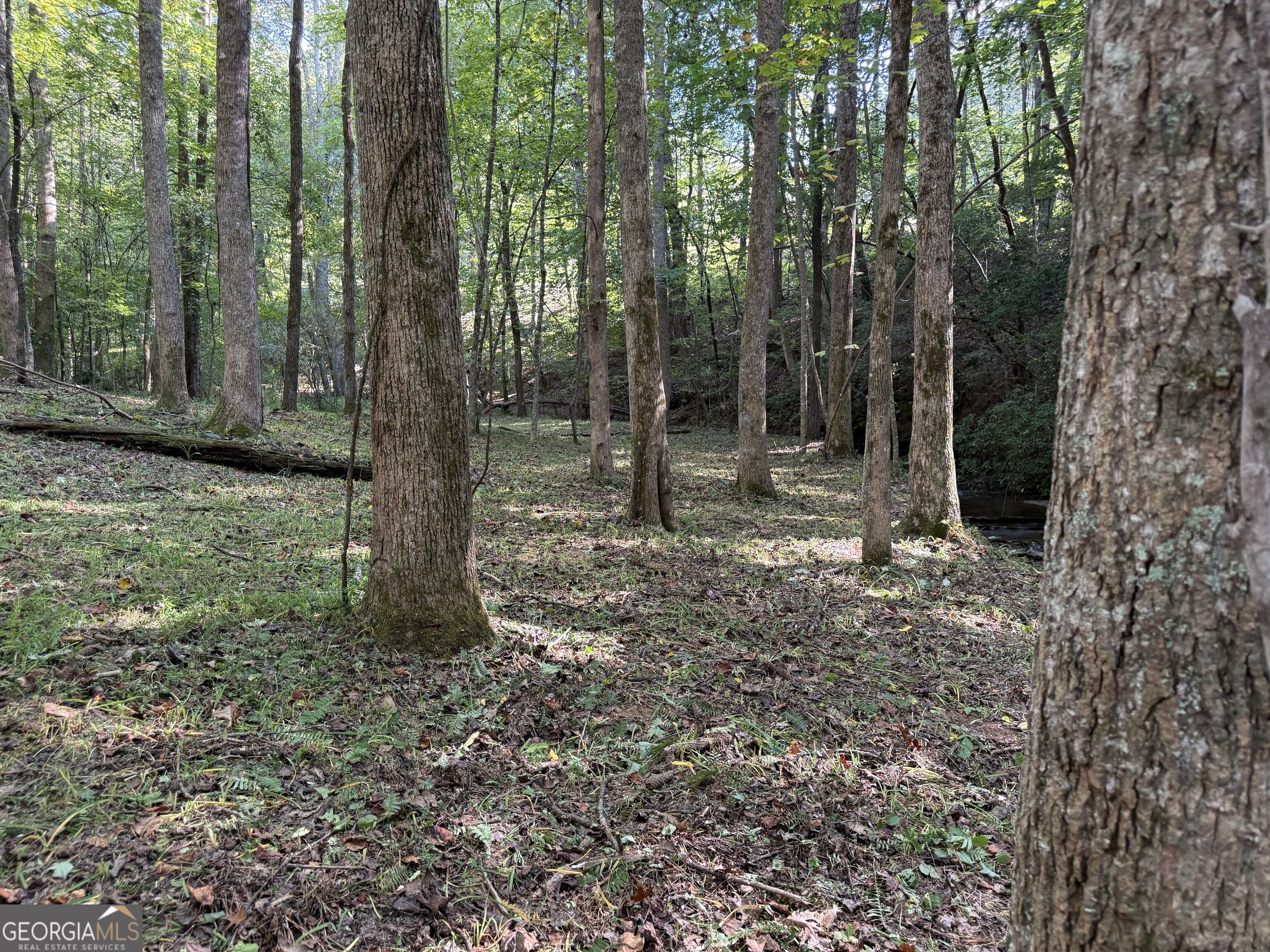 149 Hidden Creek Road Property Photo 75