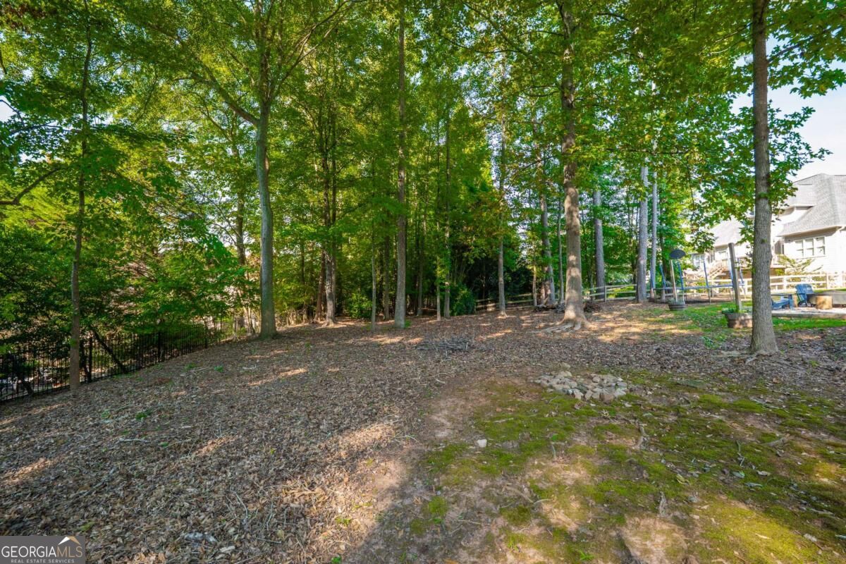 2059 Woodside Park Drive Property Photo 66