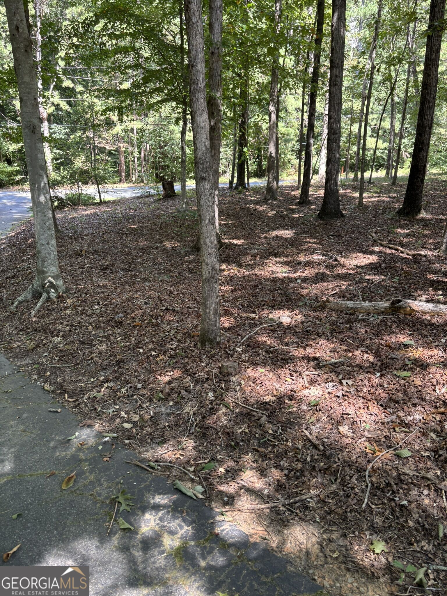 674 Clarke Trail Property Photo 2