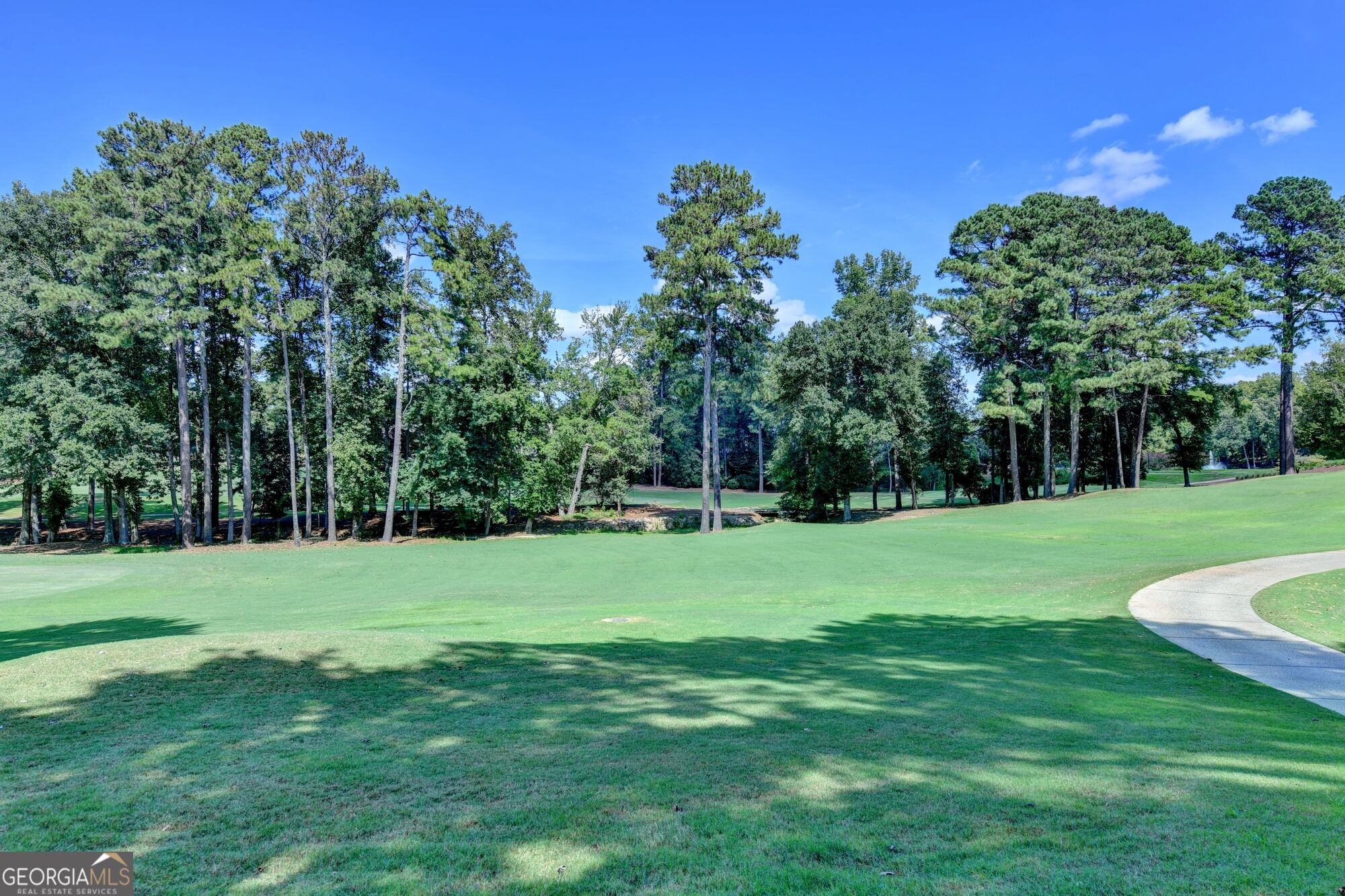 1090 Matheson Way Property Photo 110