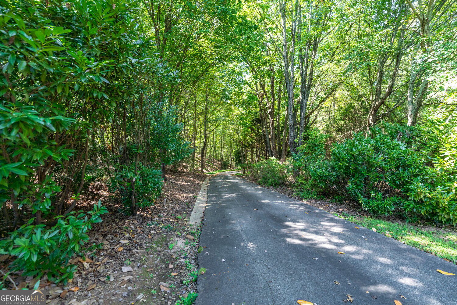 5030 Highland Ridge Run Property Photo 65