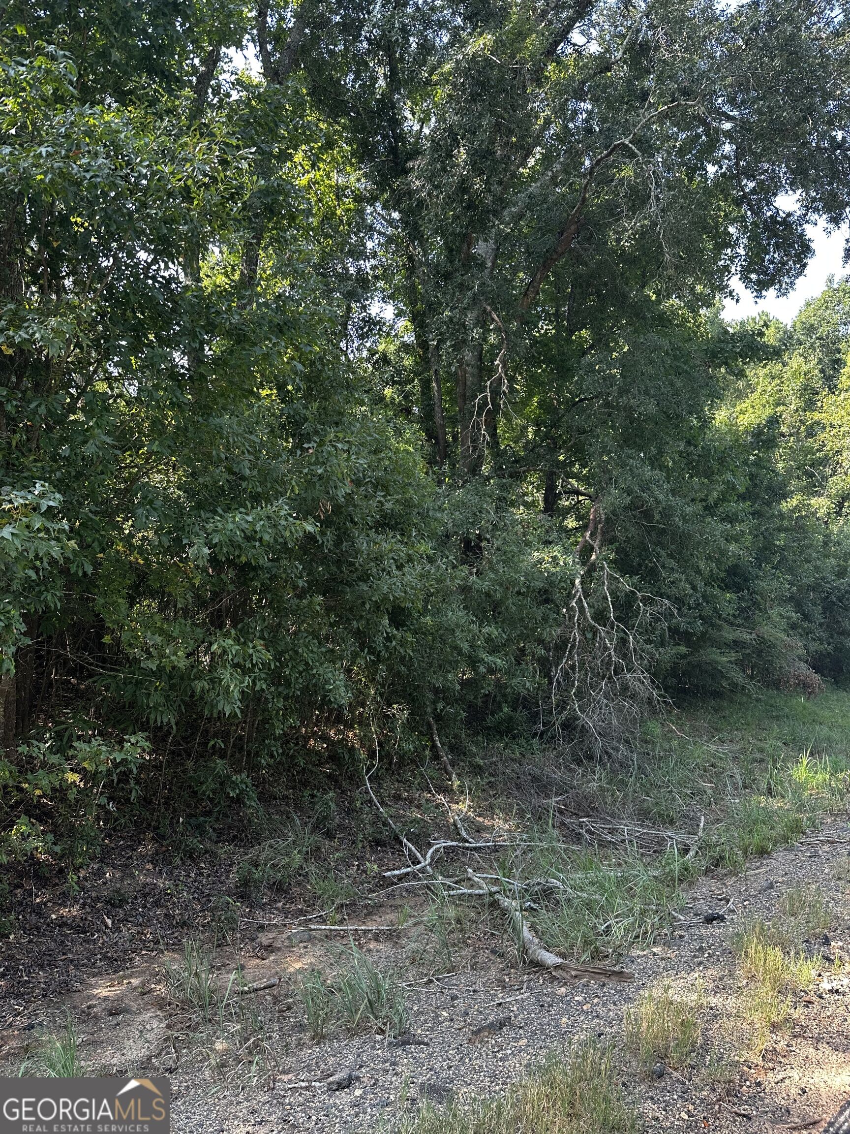 782 Sparta Highway Property Photo 4