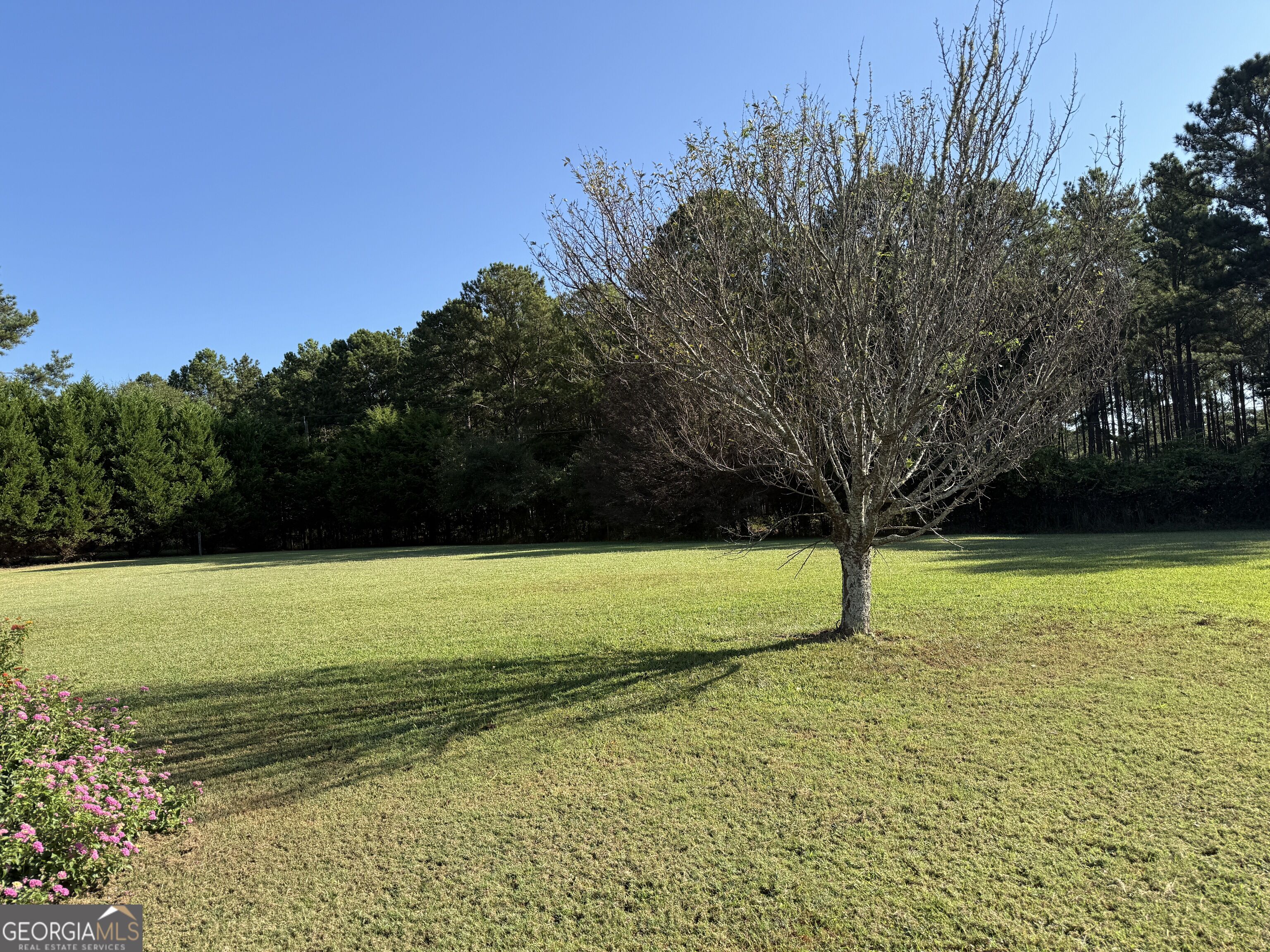 1311 Copeland Road Property Photo 72