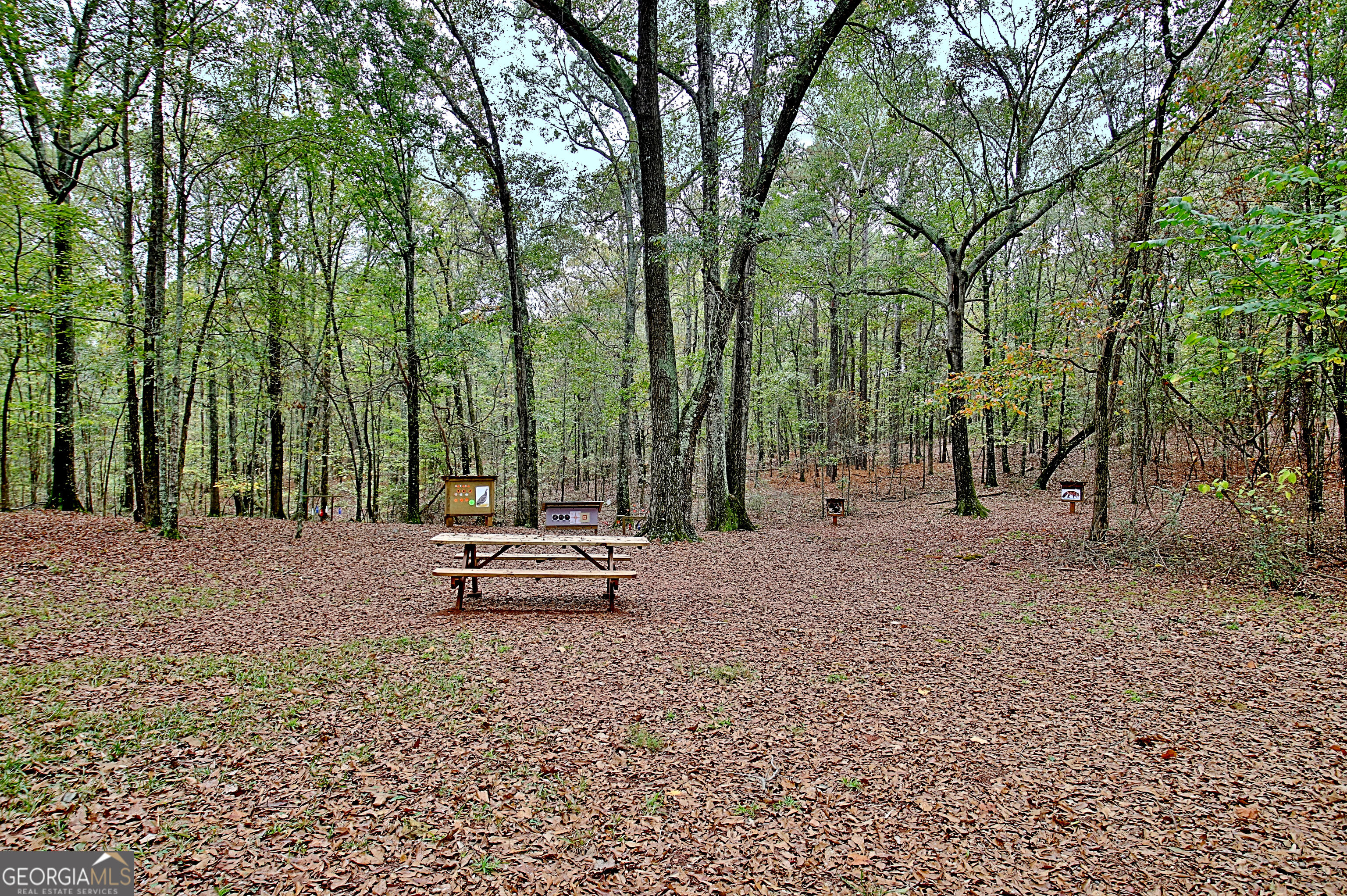 1311 Copeland Road Property Photo 75